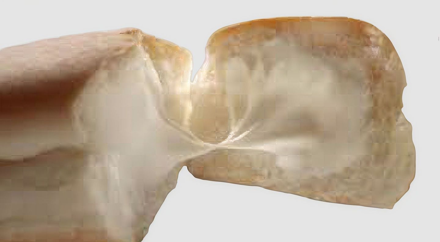 Cream Cheese Sandwich