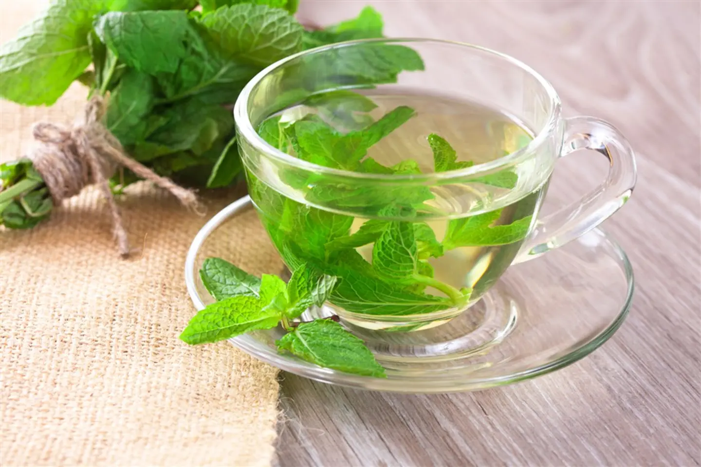 Steam Tea With Mint