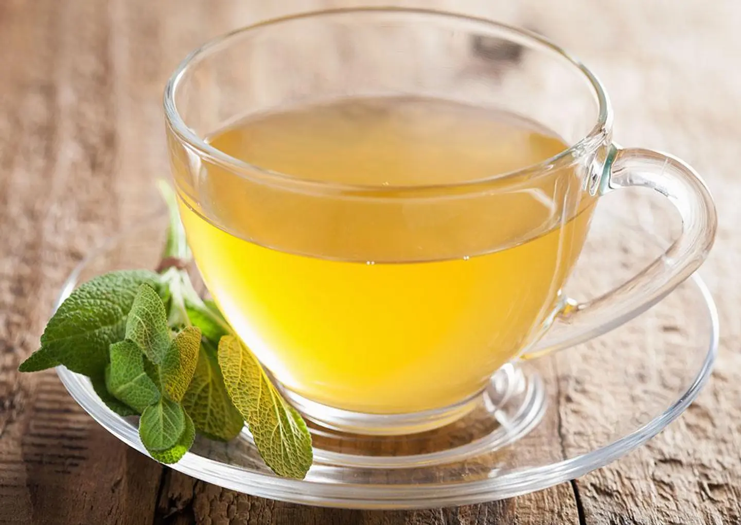 Steam Tea With Common Sage