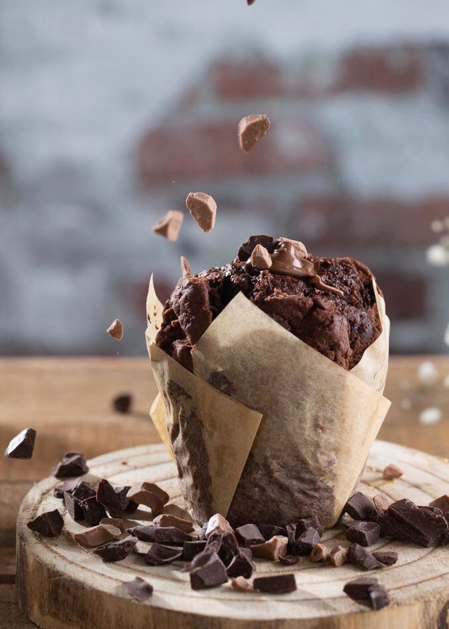 Chocolate Muffin