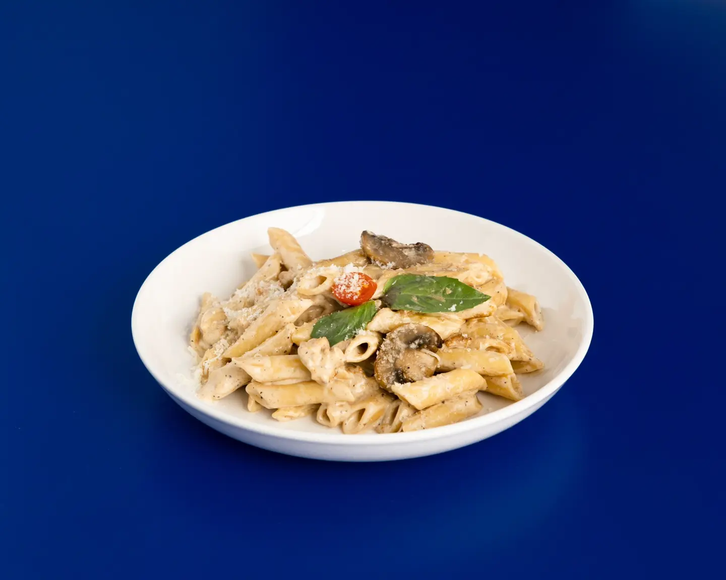 Alfredo Pasta