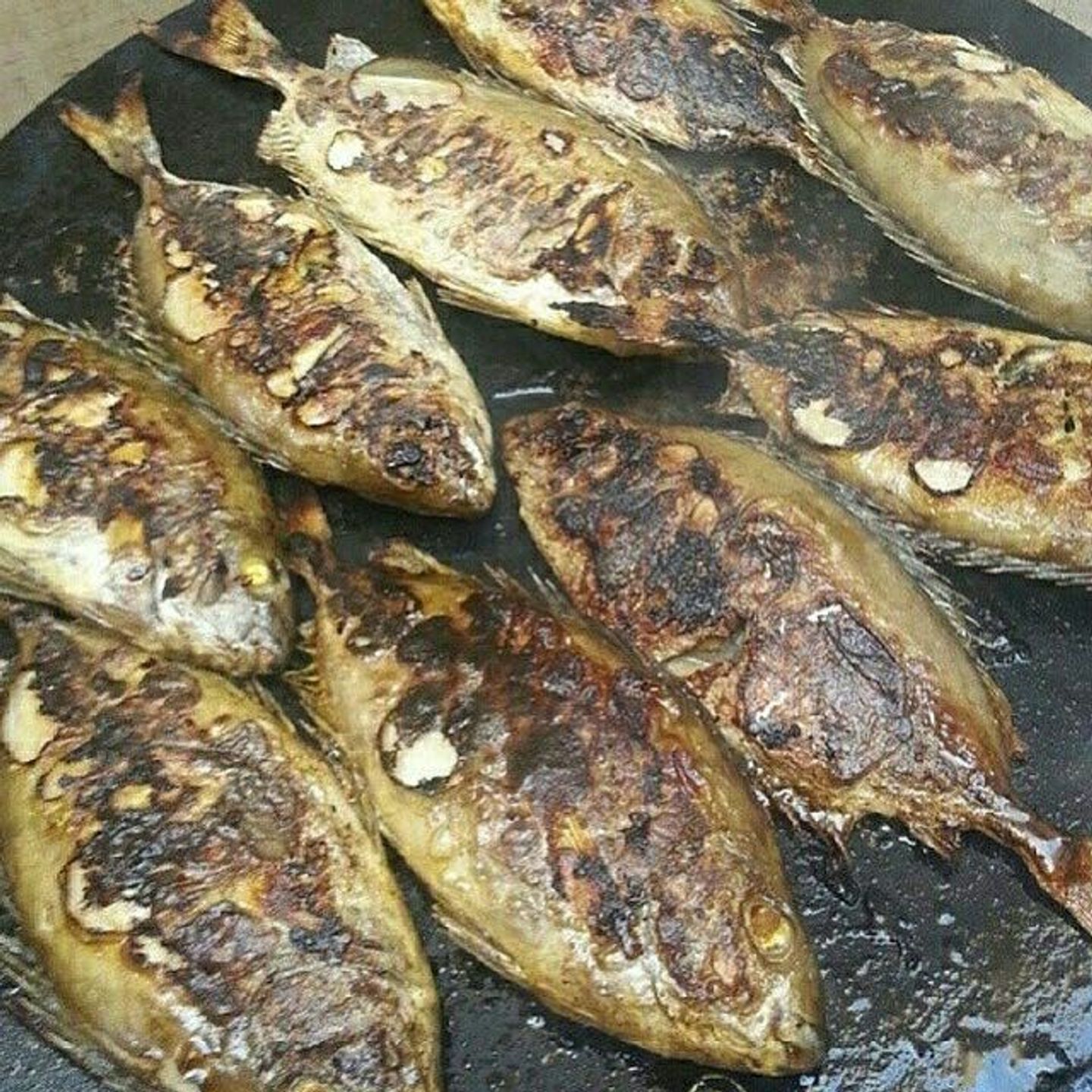 صافي