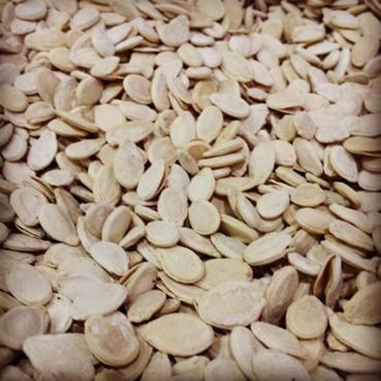 Salty Egyptian Seeds  - Salty Egyptian Seeds 1 Kg