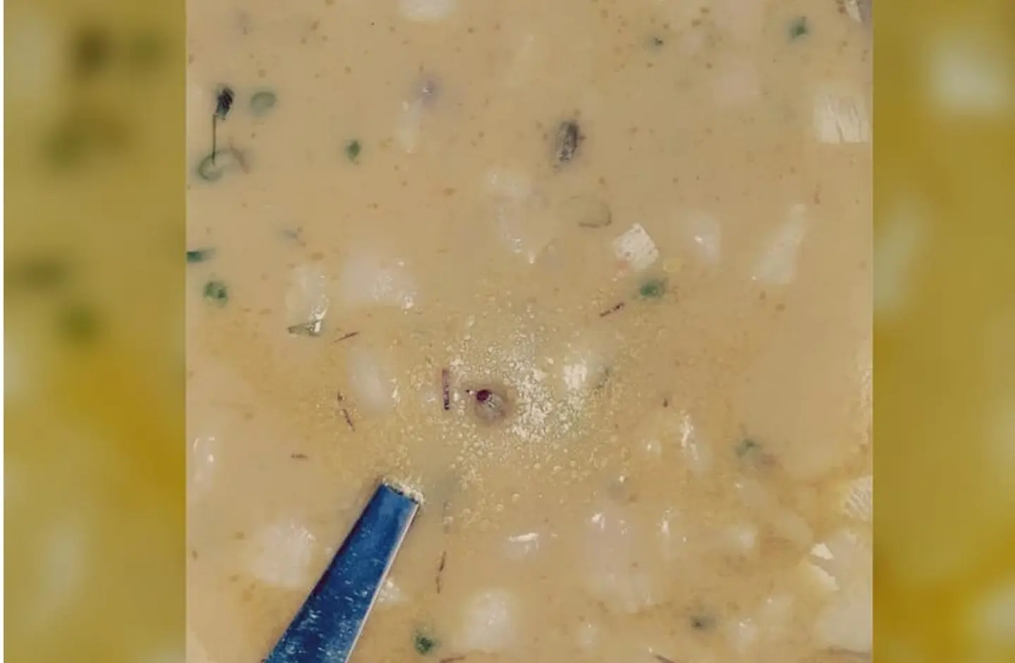 شوربة سيفود ابيض