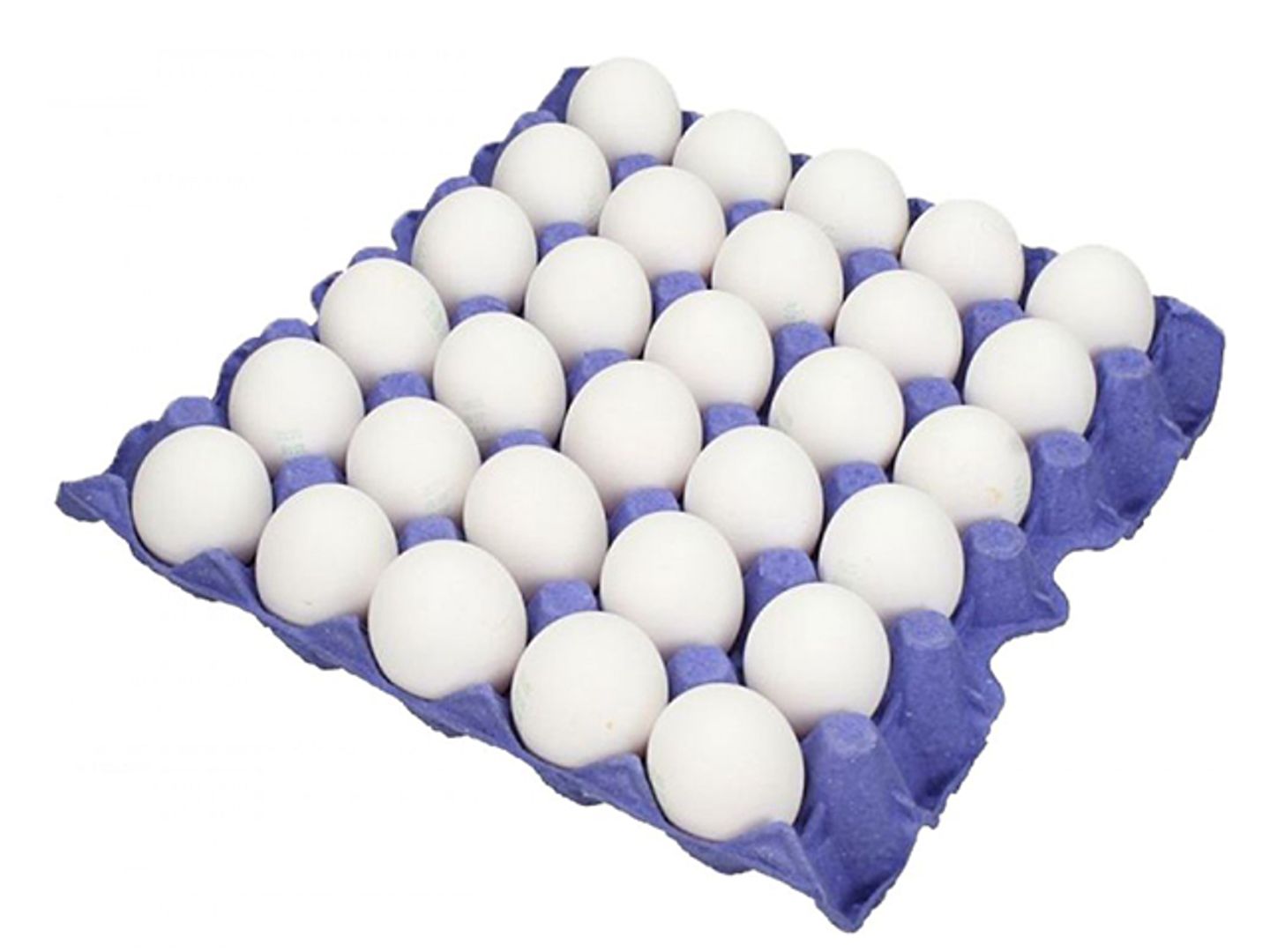 بيض
