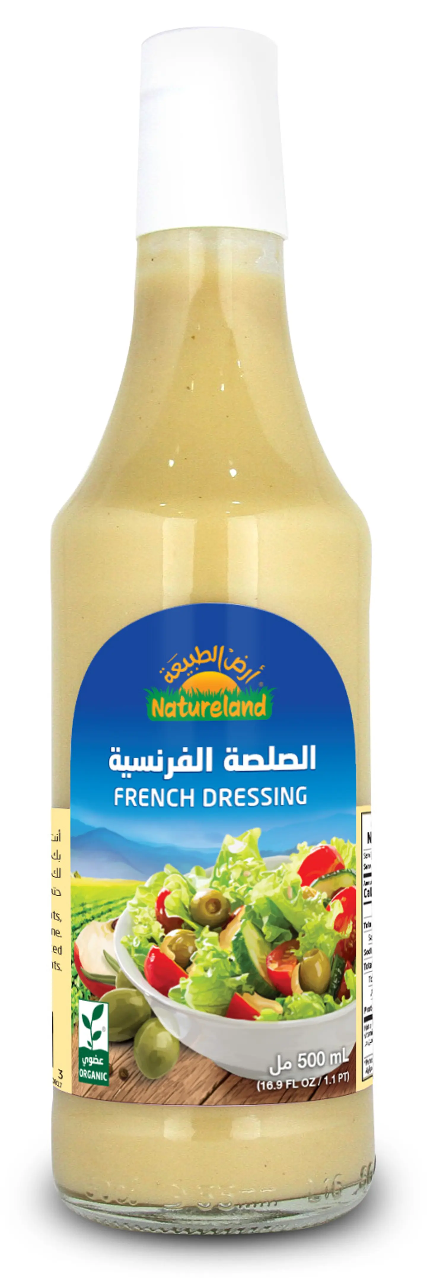خلطة السلطة الفرنسية 500 مل