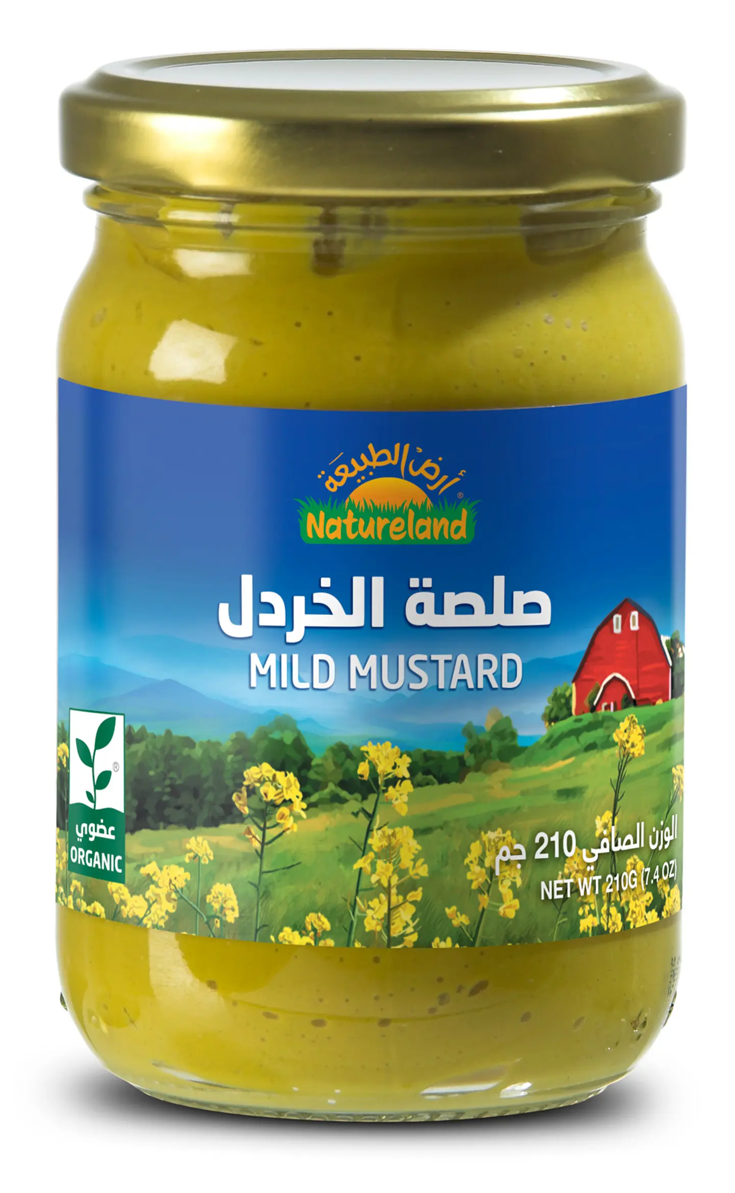 صلصلة الخردل 210 جم