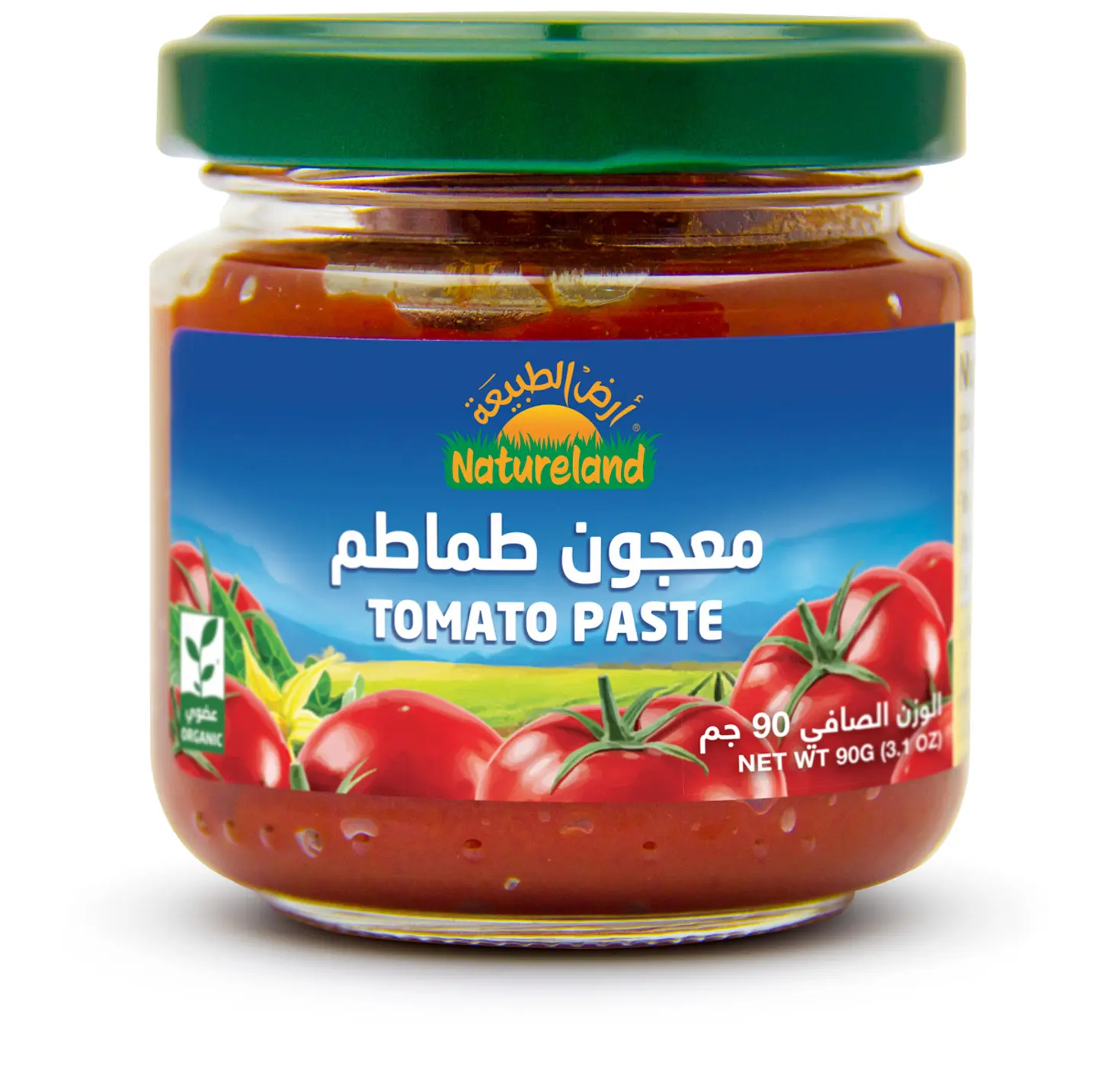 معجون الطماطم 90 جم