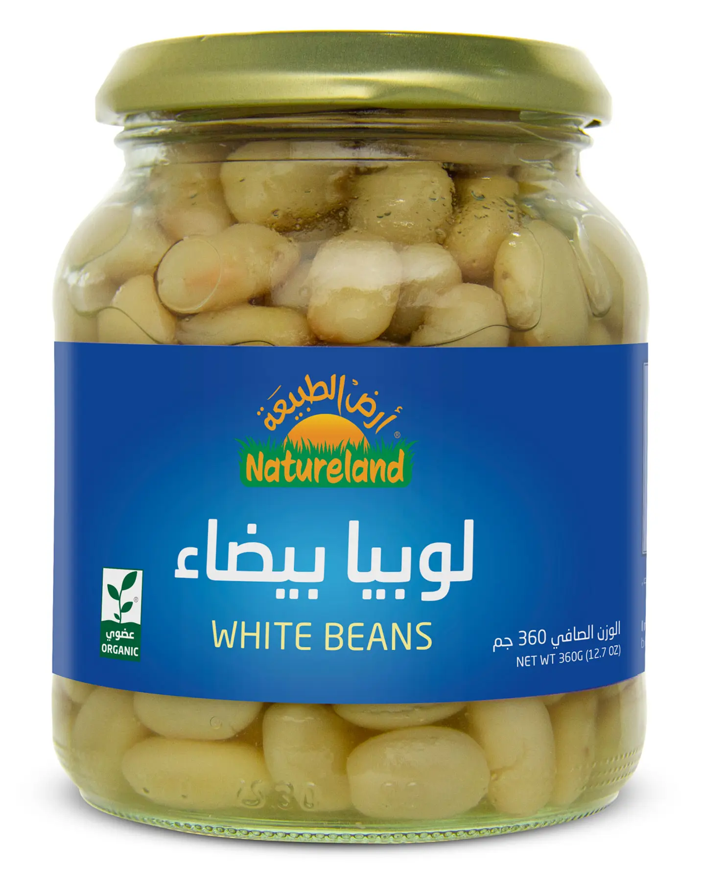 لوبيا بيضاء 360 جم عضوي