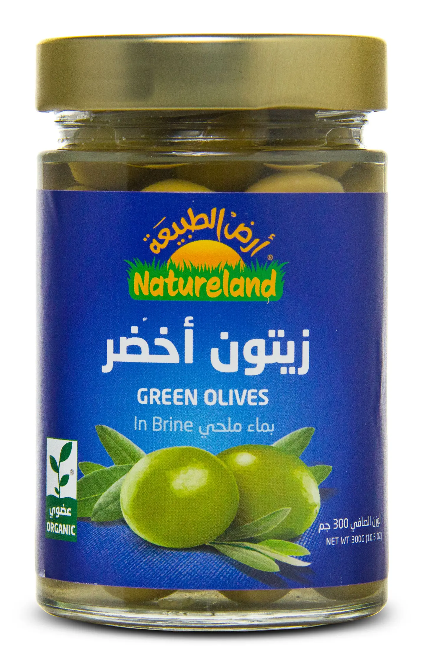 زيتون أخضر بماء ملحي 300 جم عضوي