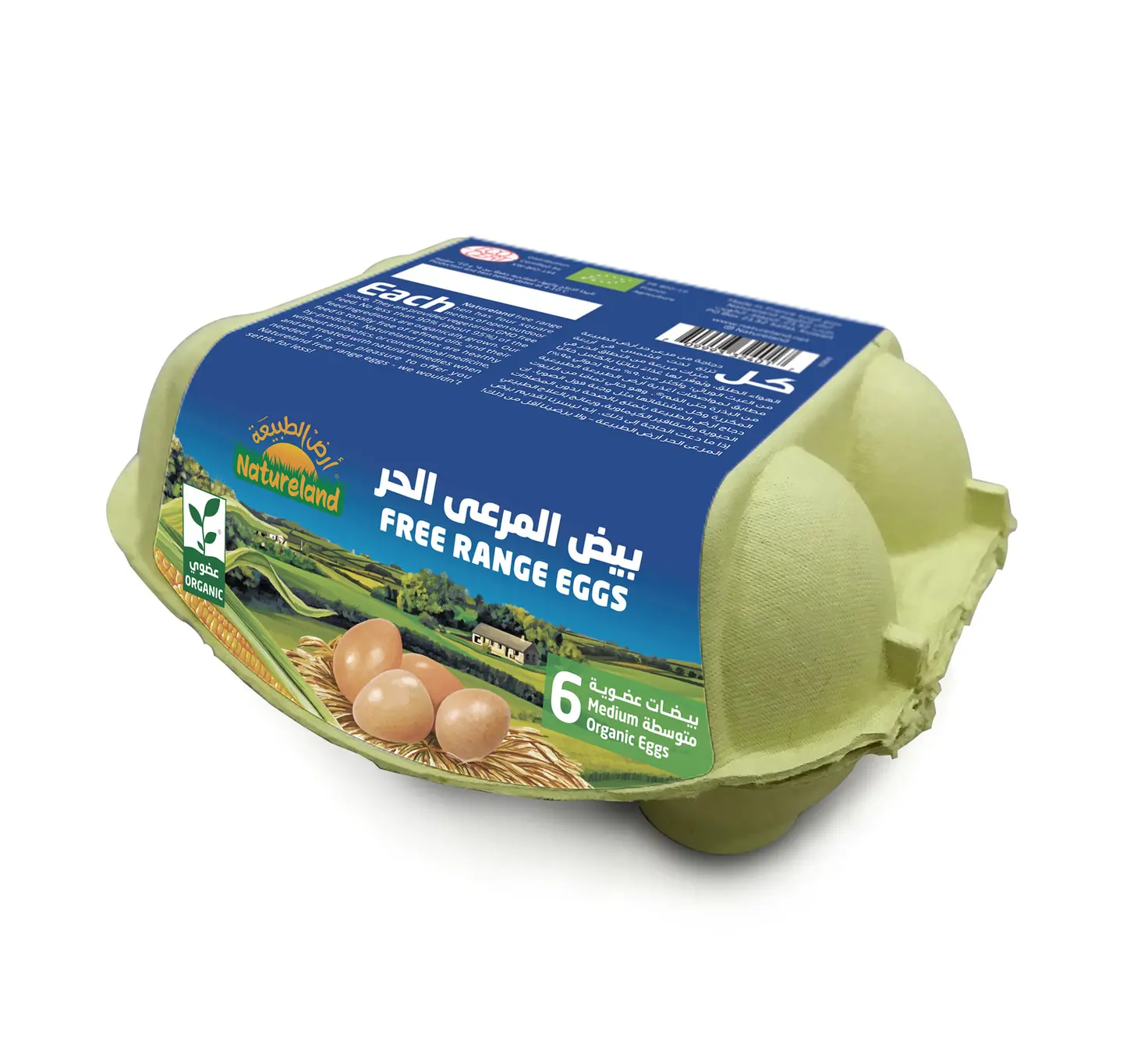 بيض المرعي الحر أرض الطبيعة 6 حبة