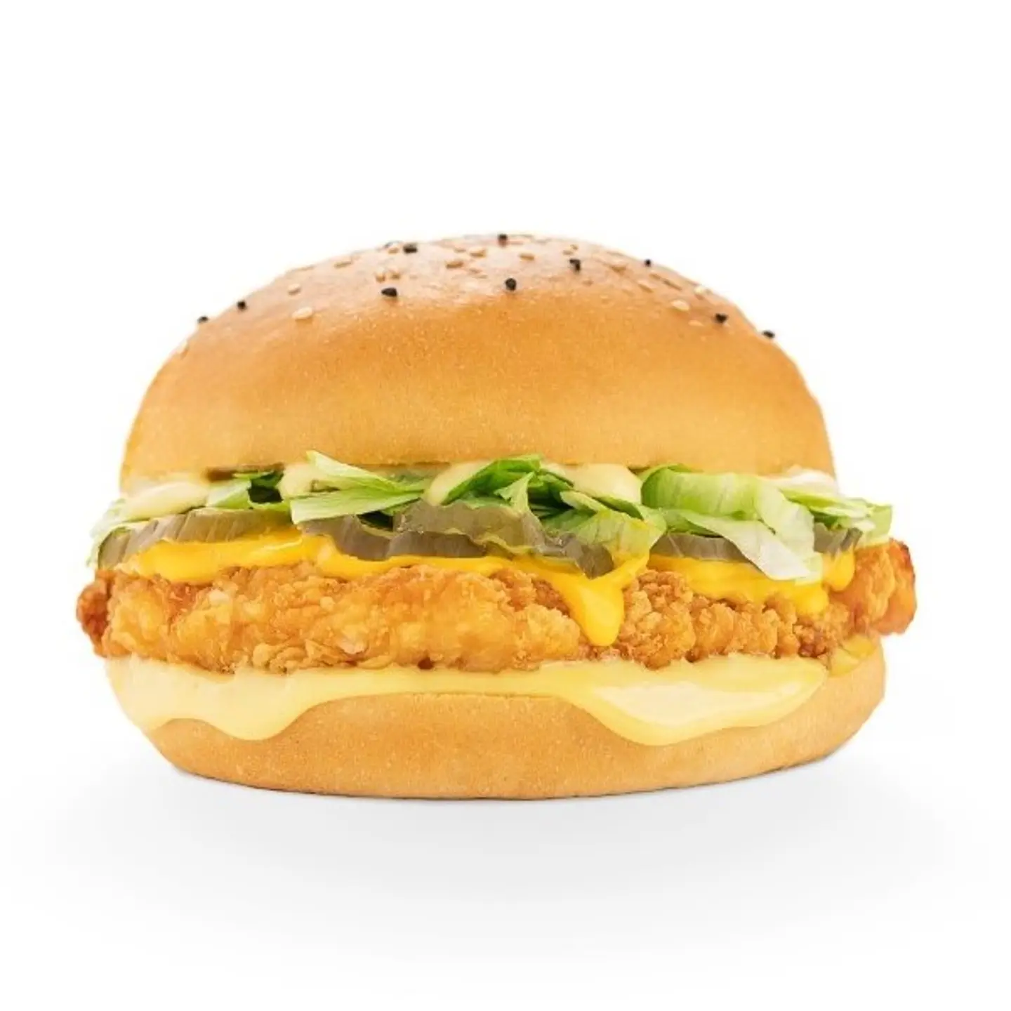 Chicken Crispy Meal