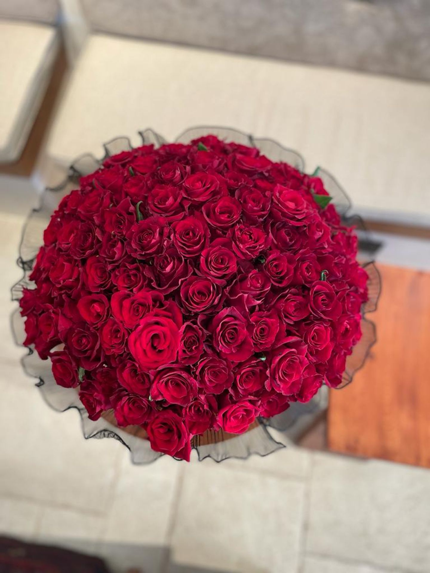 ايفا-ف10