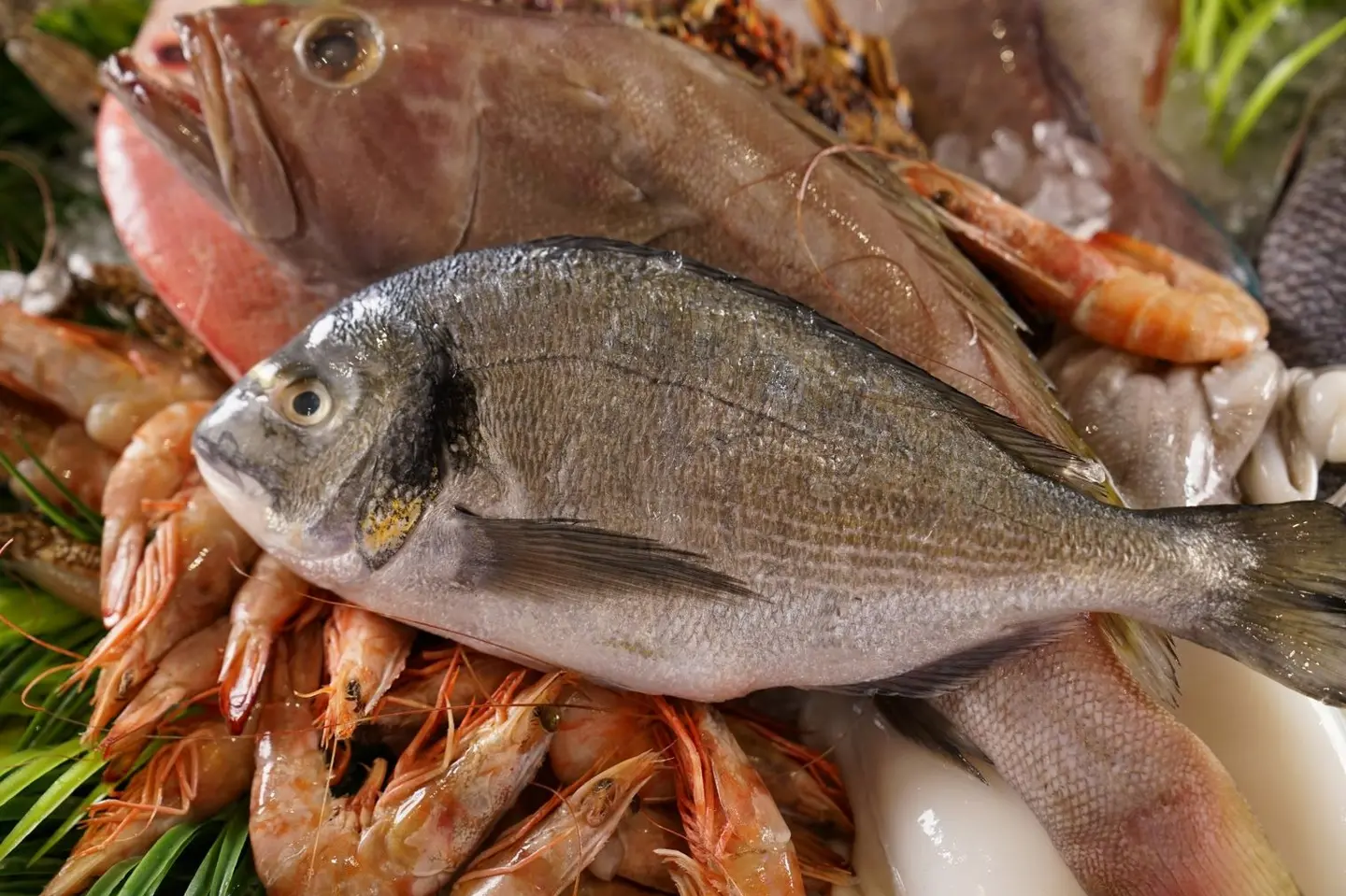 Seabream 500 Gm.
