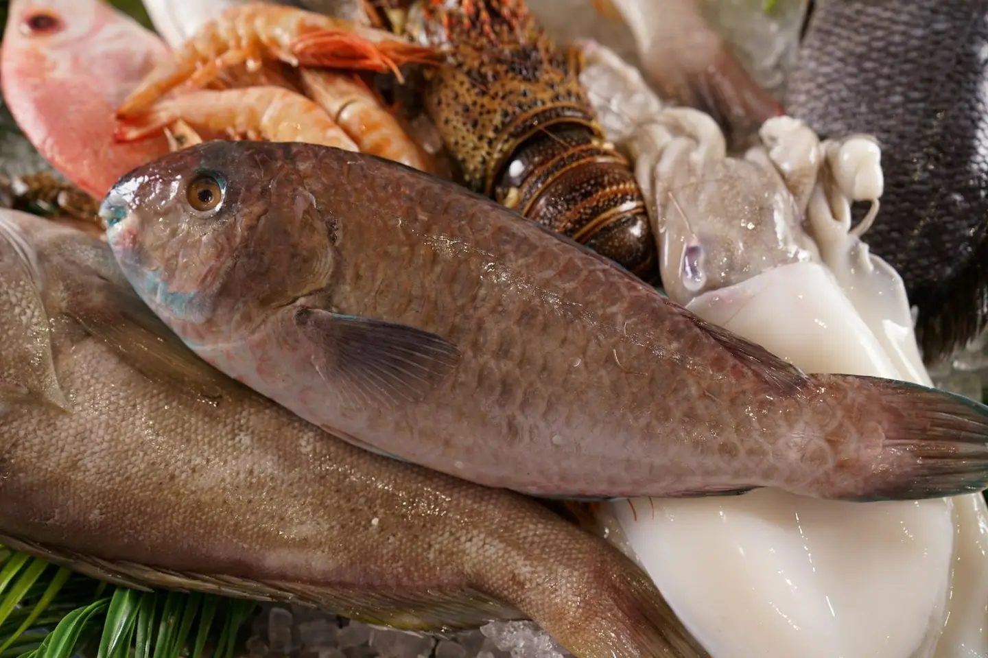 Parrot Fish 500 Gm.