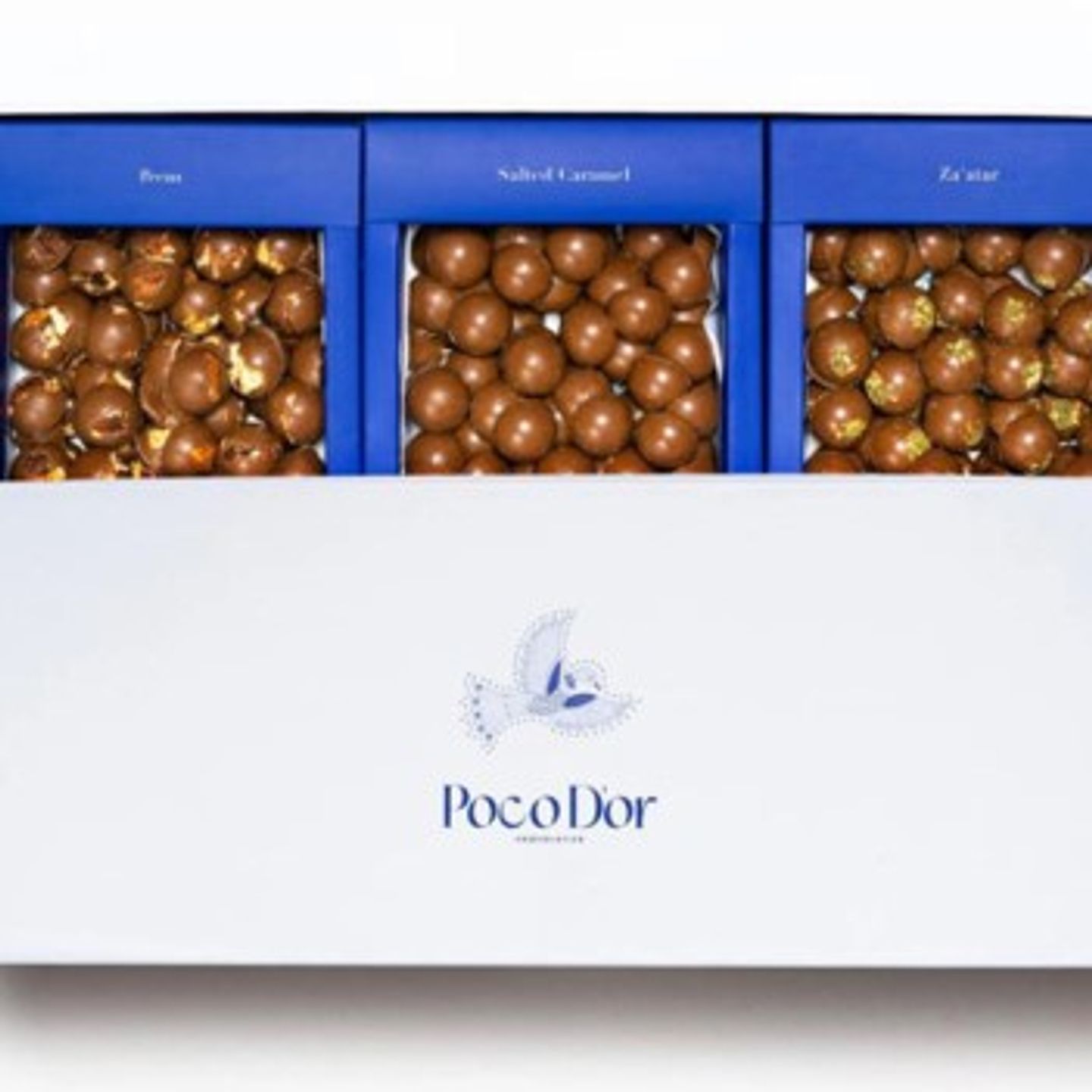 Bocuador Bites