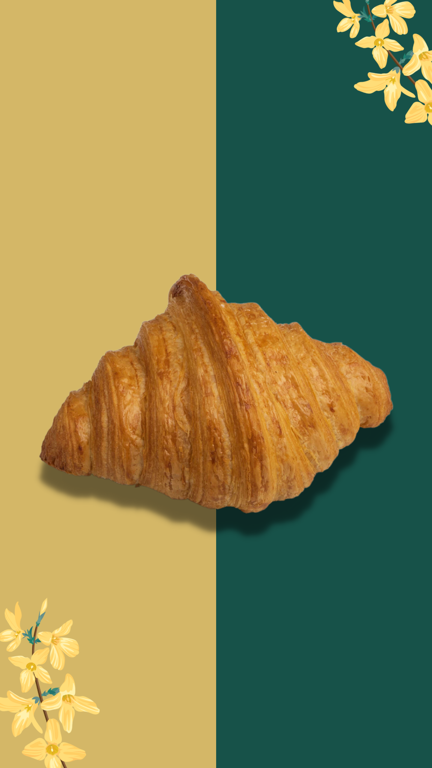 كرواسون  سادة