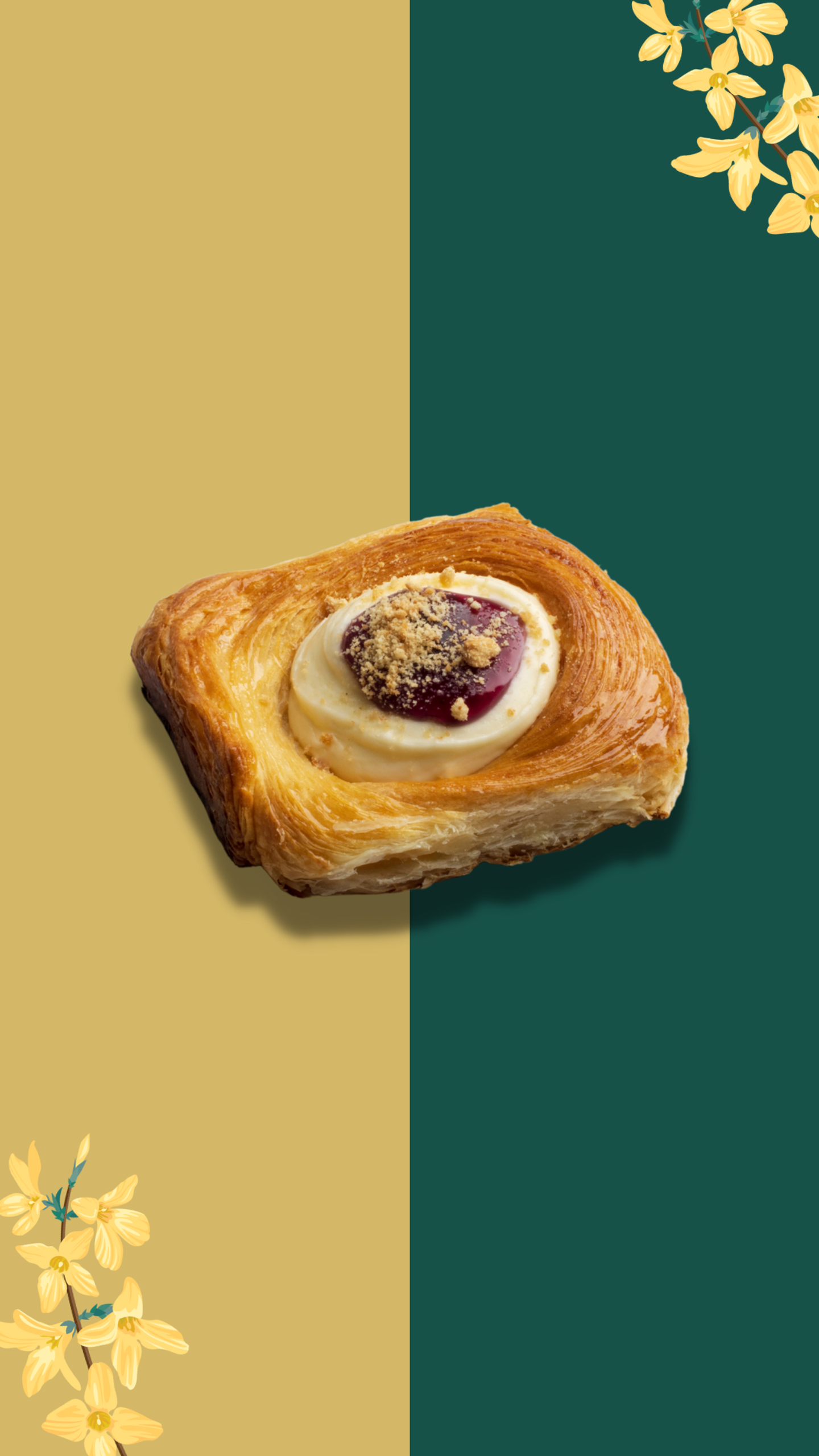 دانيش تشيز كيك