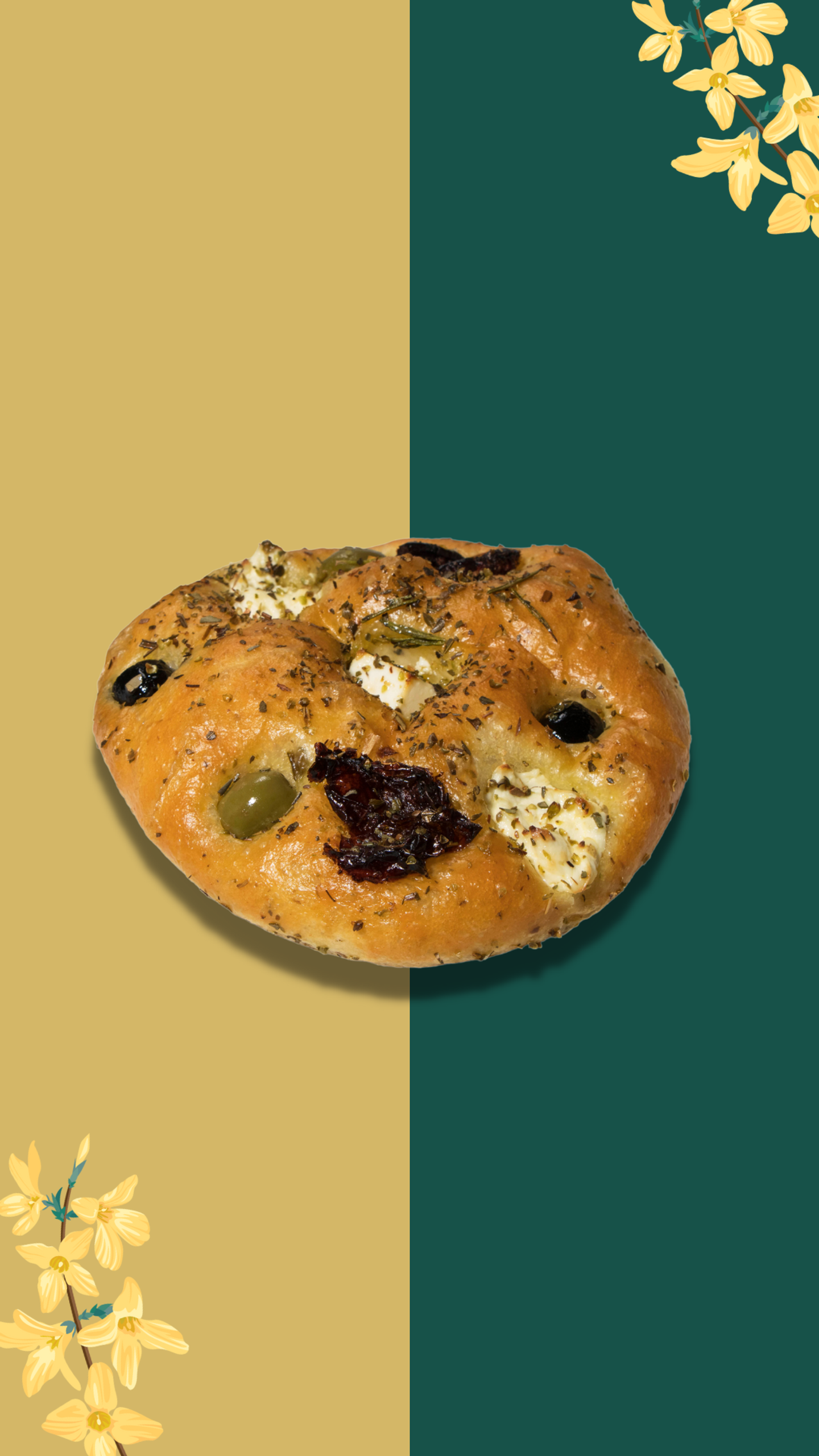 فوكاتشيا