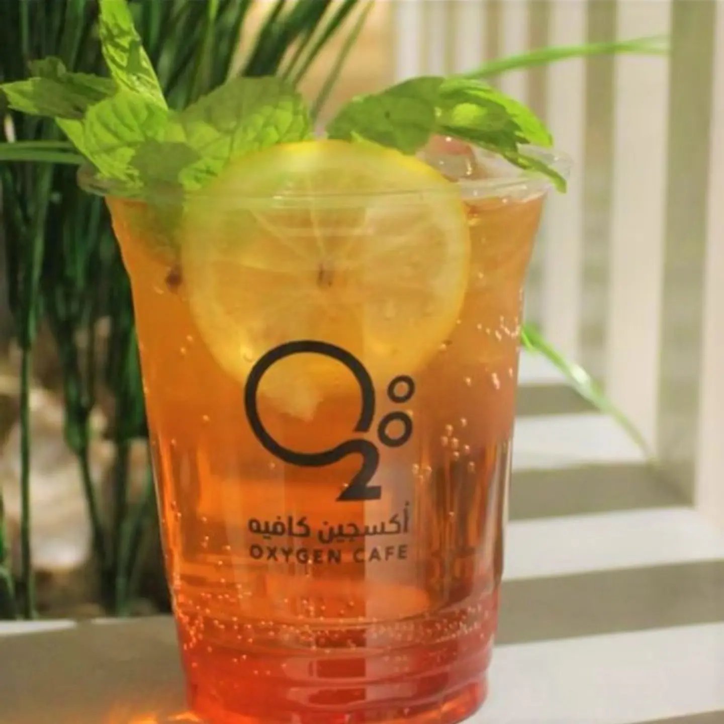 Mojito