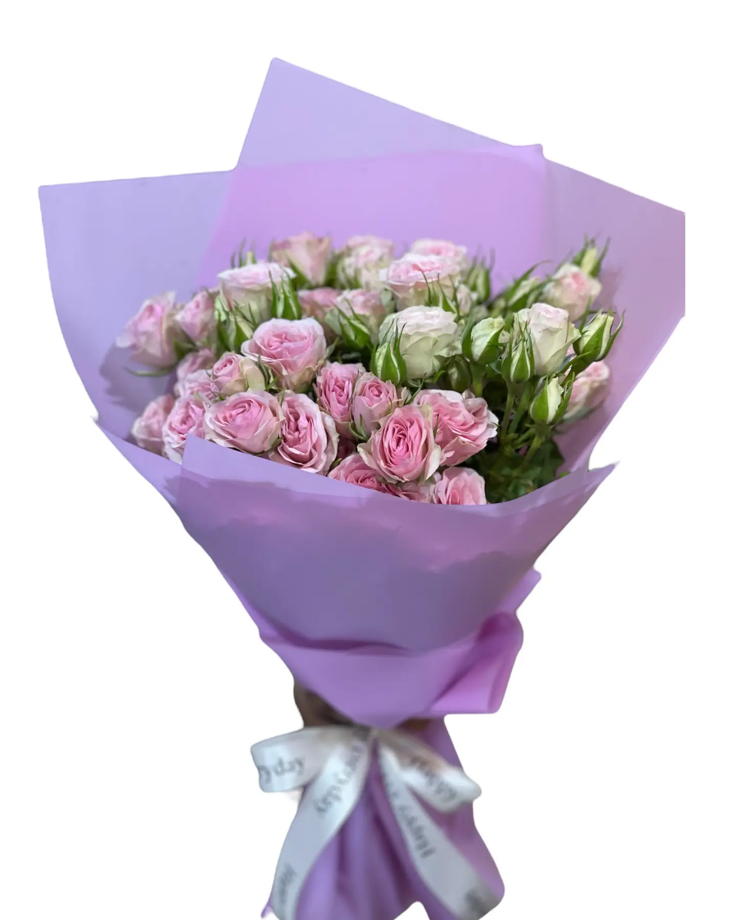 Baby Rose Mini1