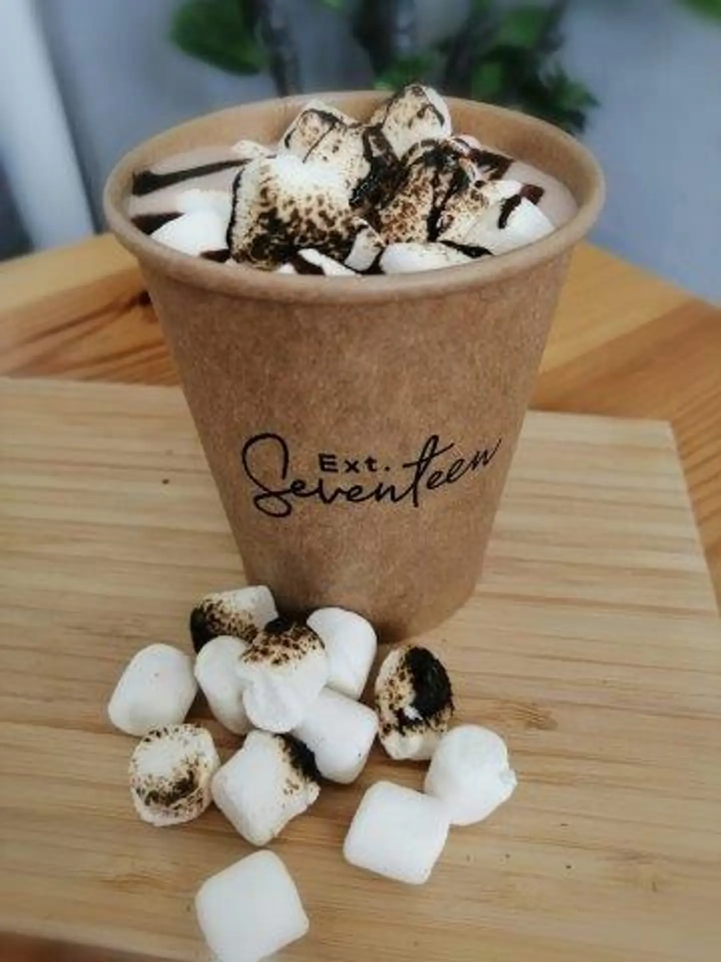 Mini Hot Chocolate With Marshmallow