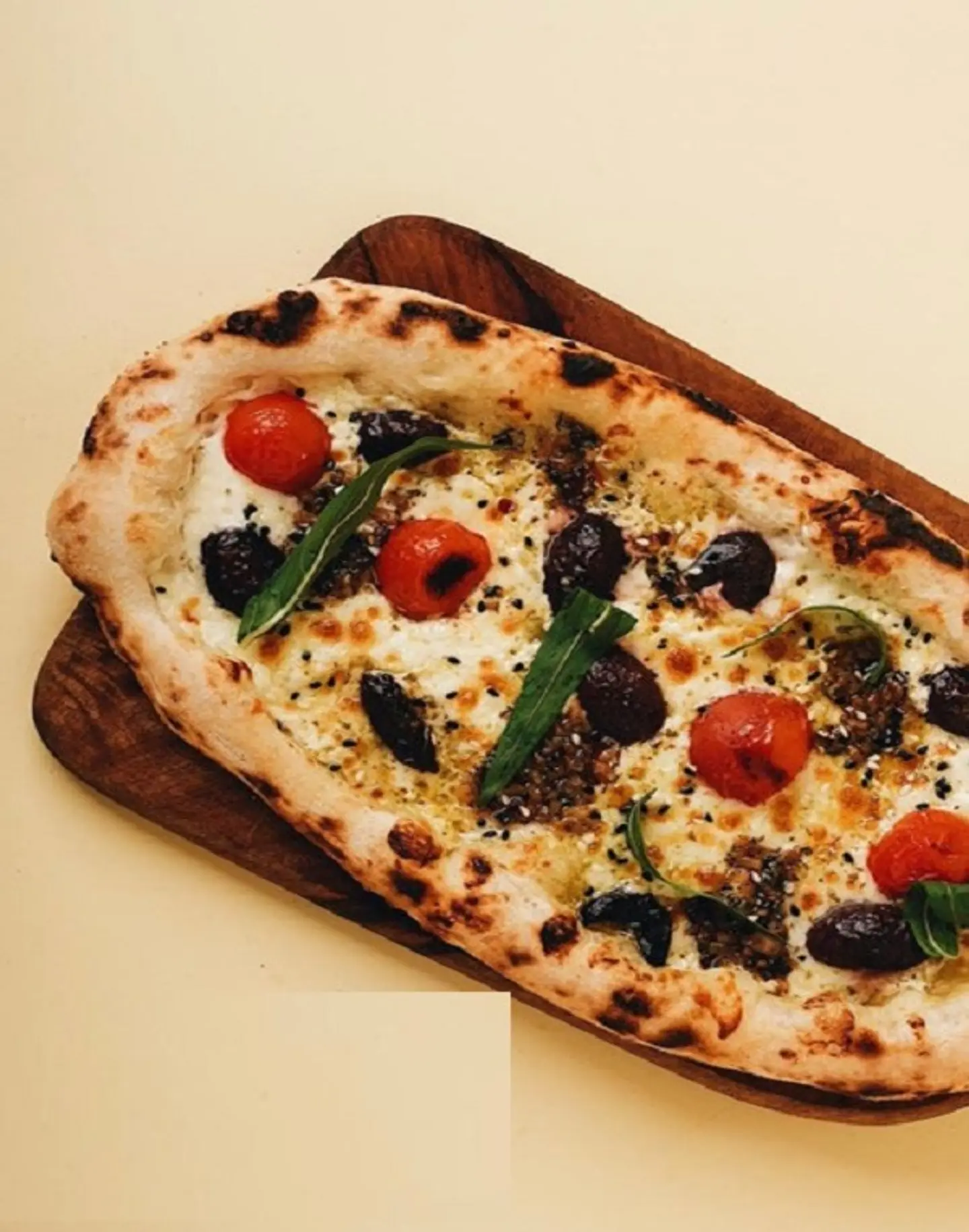 فطيرة الاعشاب الكريمية