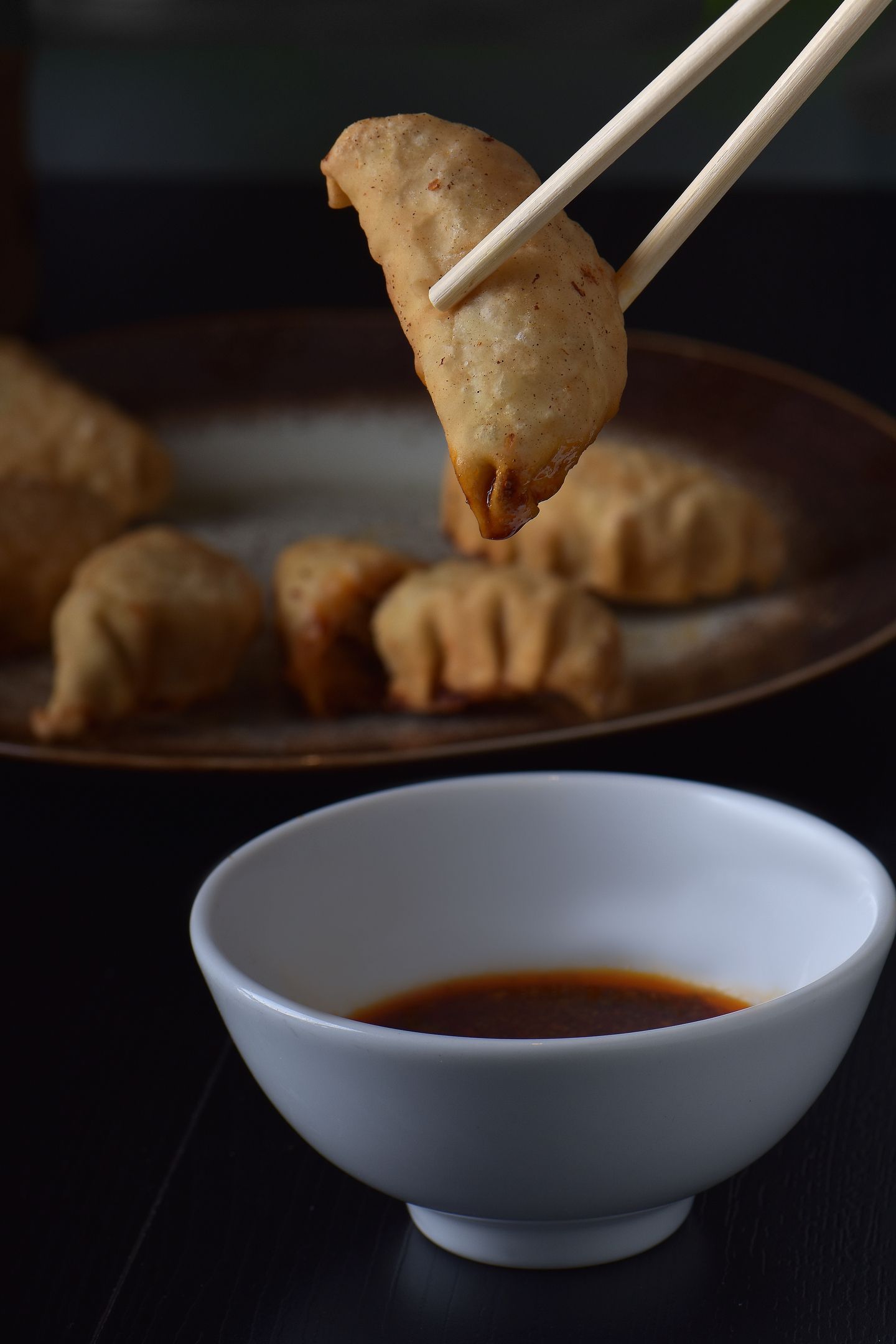 Fried Gyoza