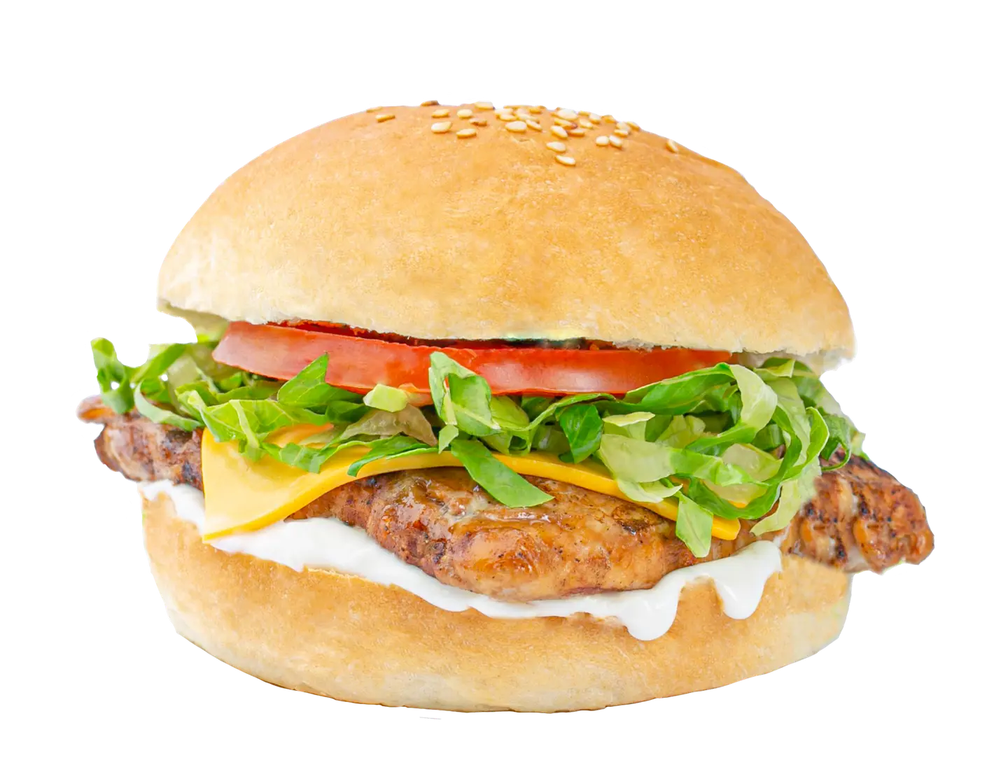 Zaki Chick Fillet