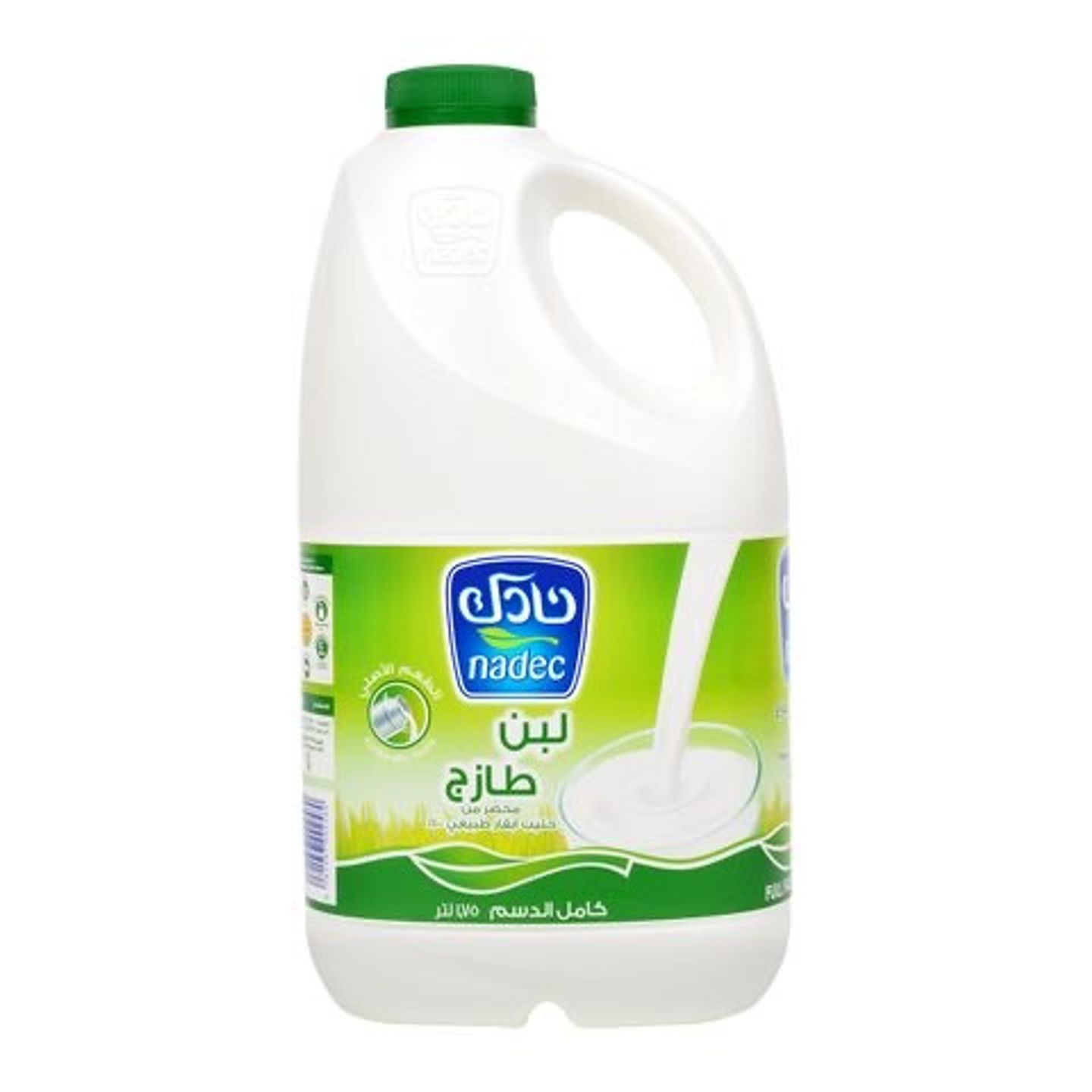 حجم عائلة اللبن