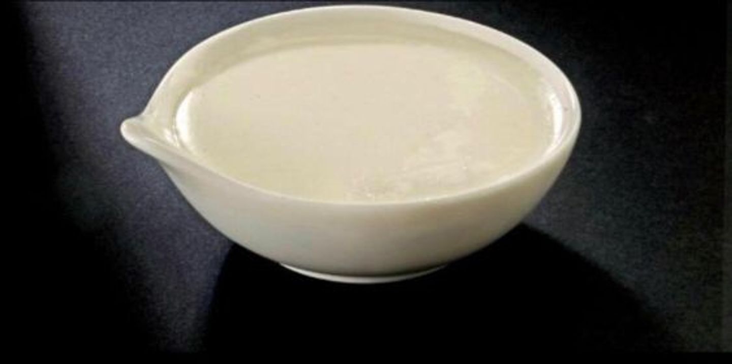 Regular Garlic Sauce