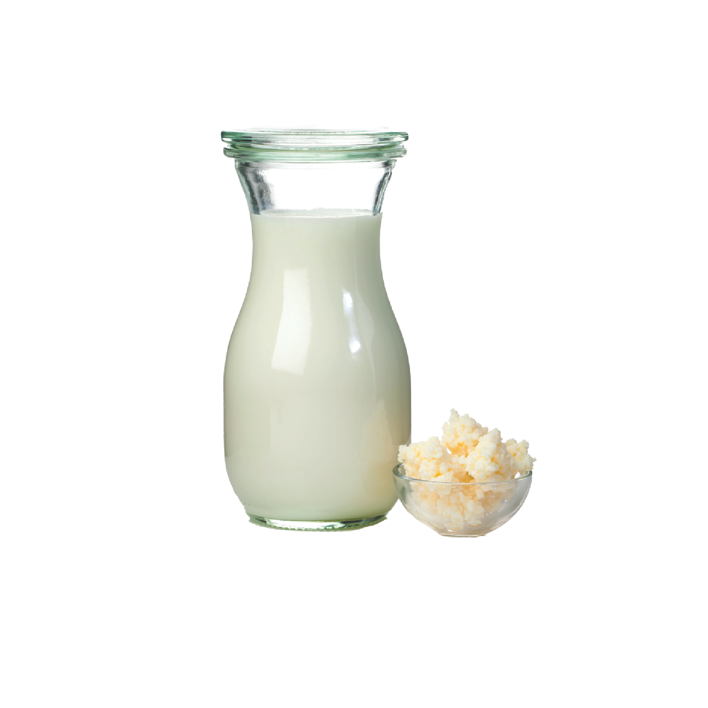 Coconut Milk Kefir