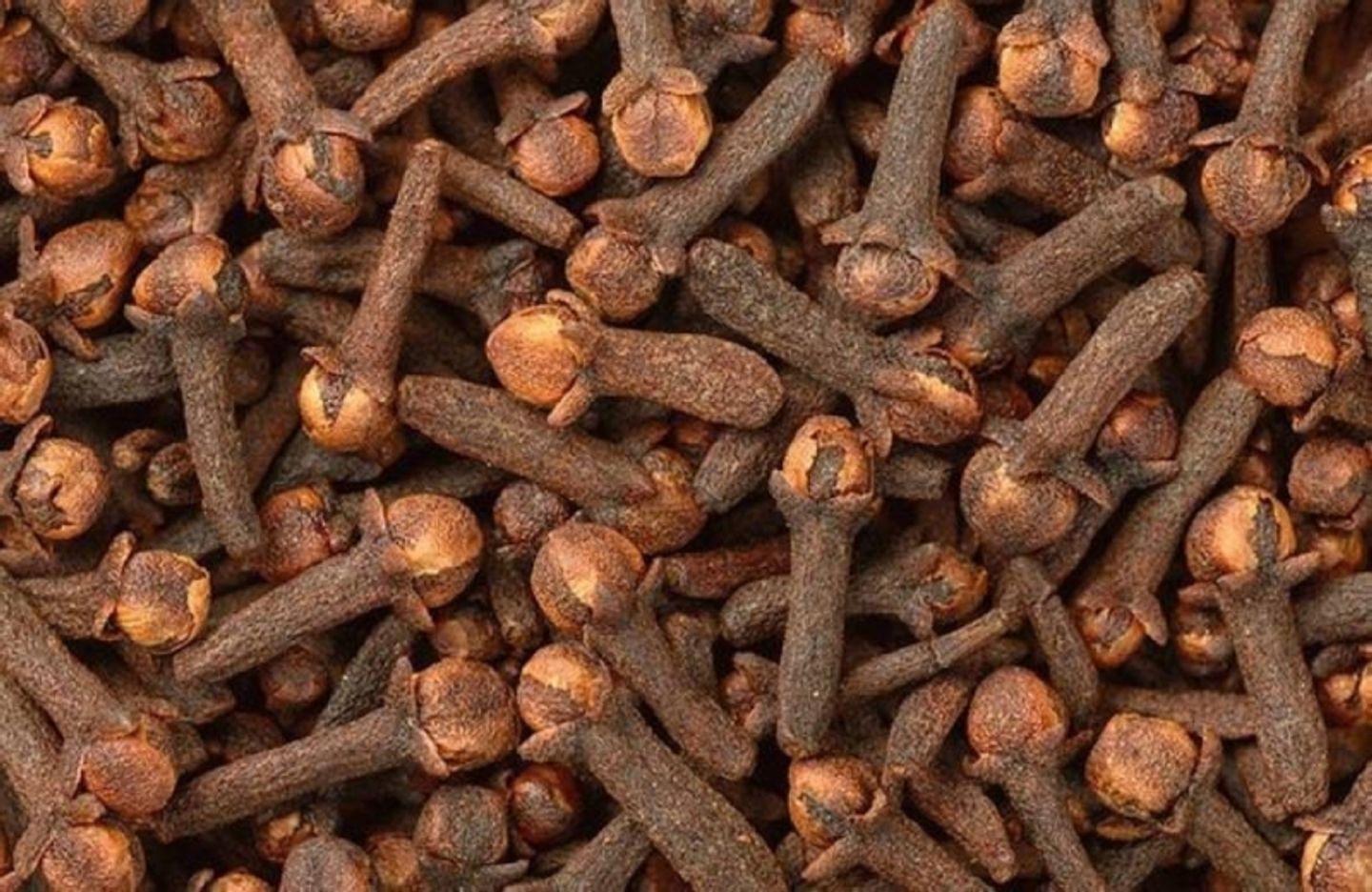 Clove