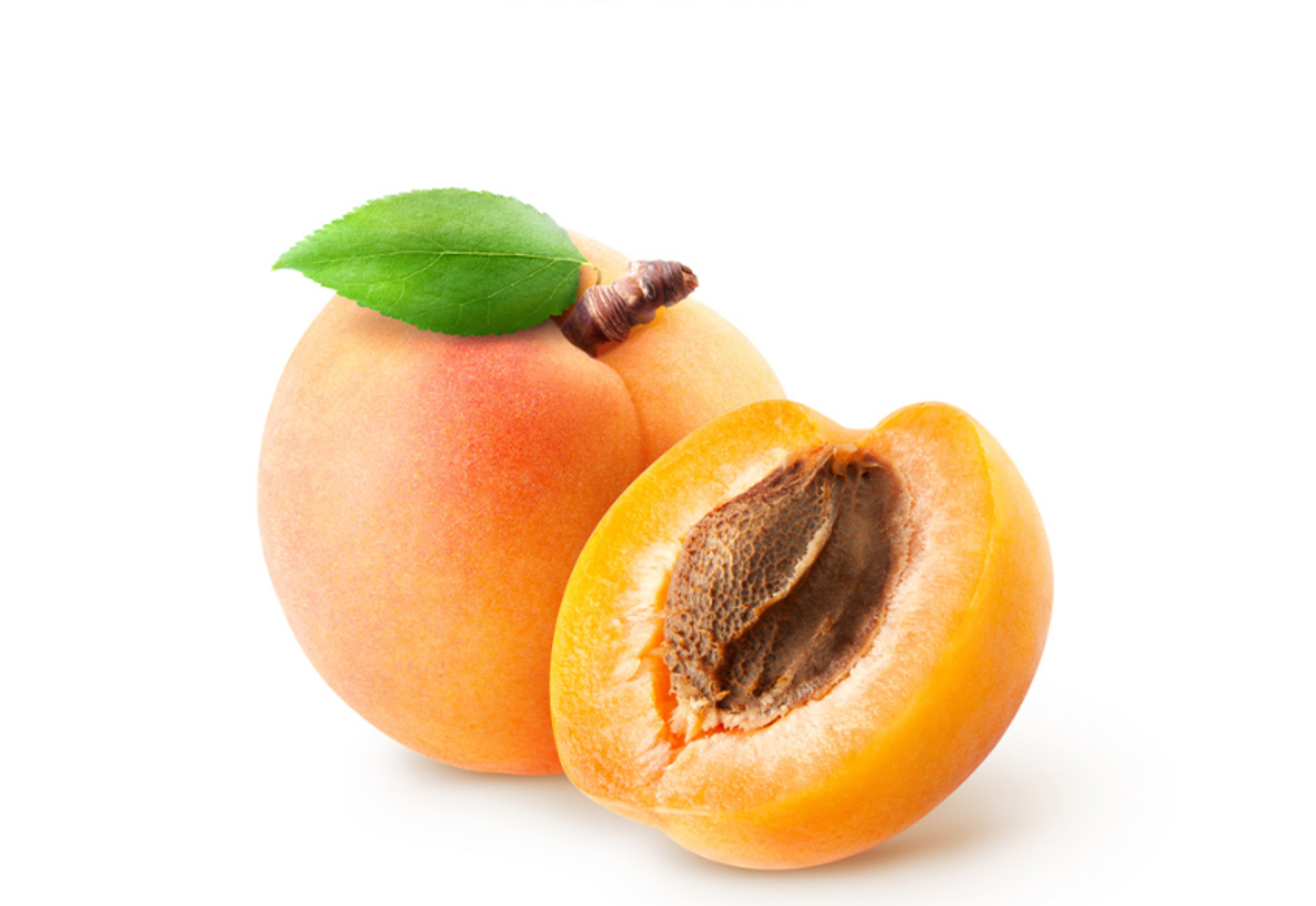 مشمش