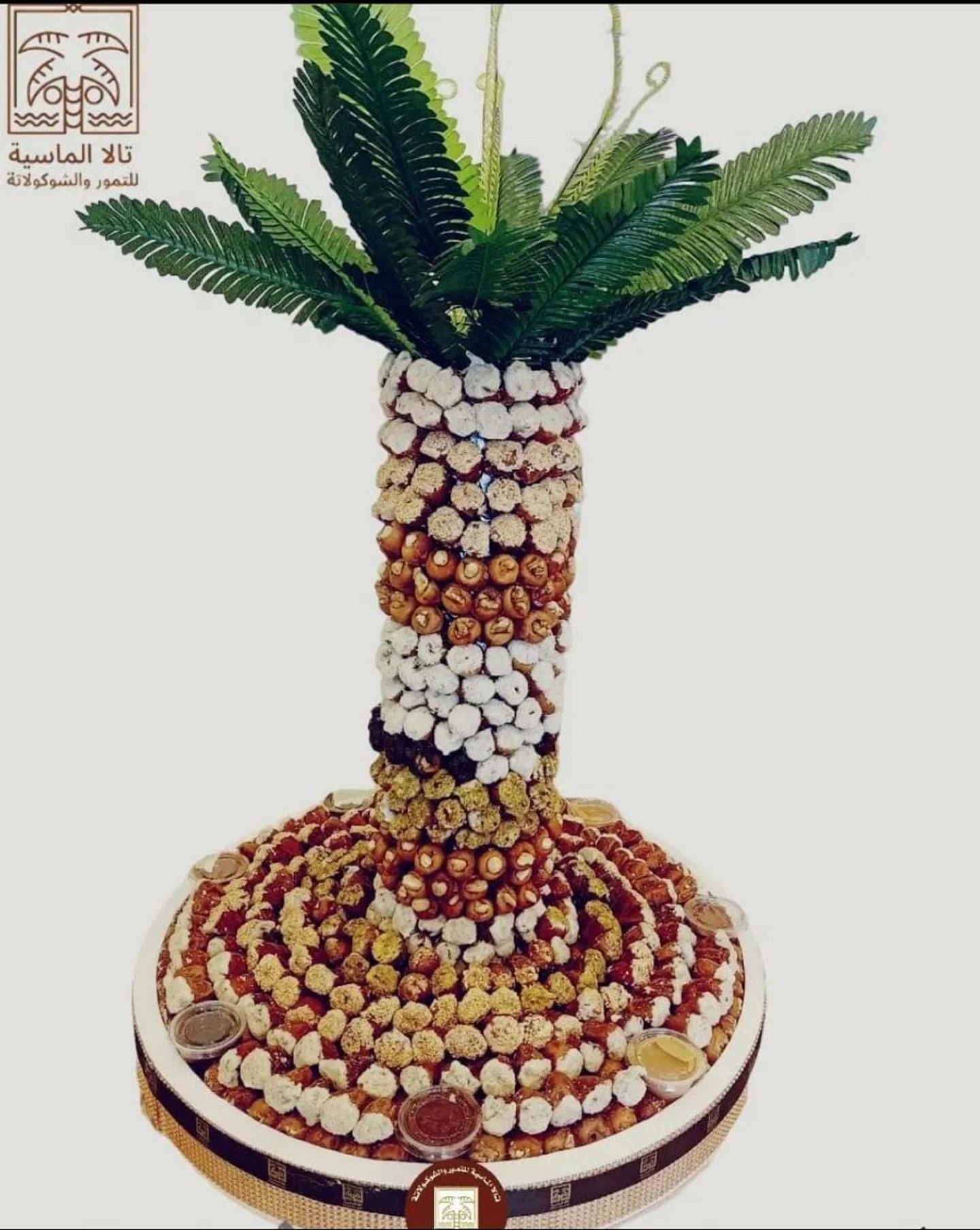 نخلة الضيافة حجم وسط 7 كيلو