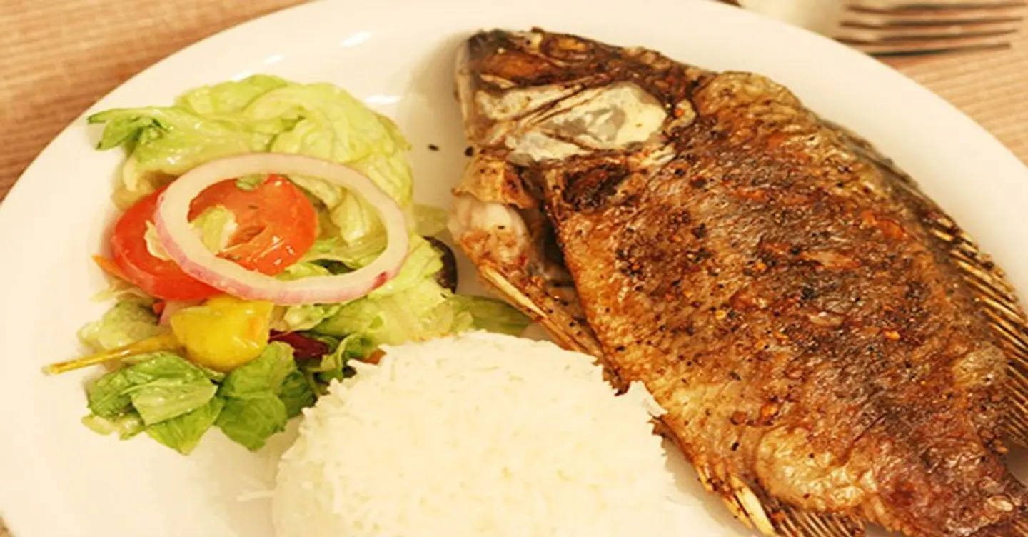 Tilapia Sinjari