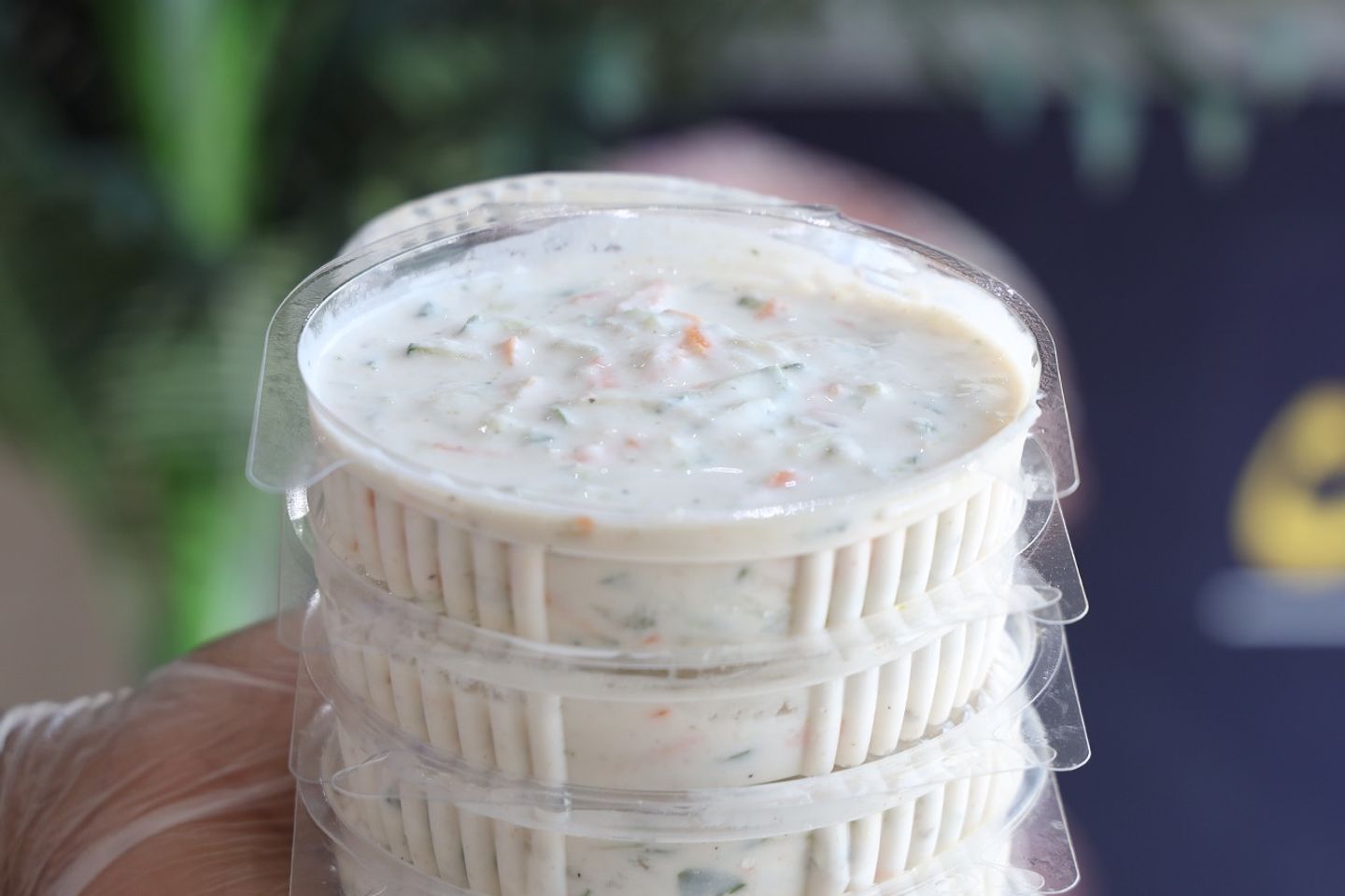 Salad