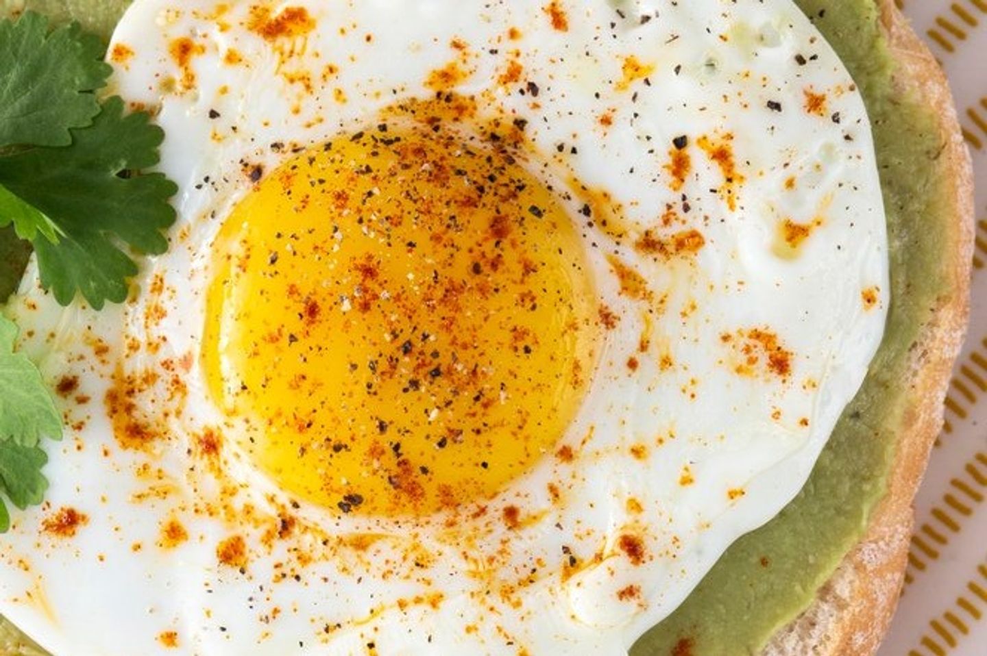 Egg