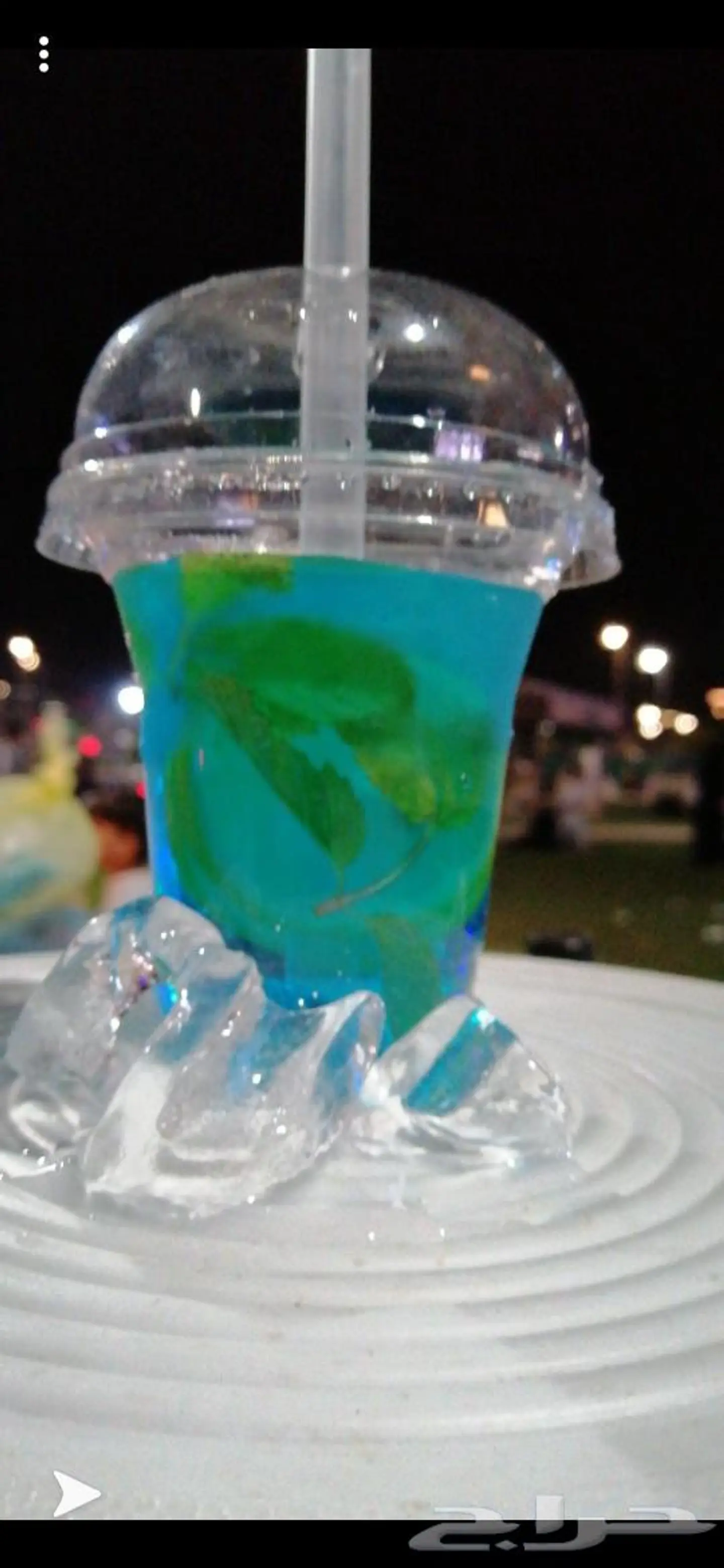 Bison Blueberry