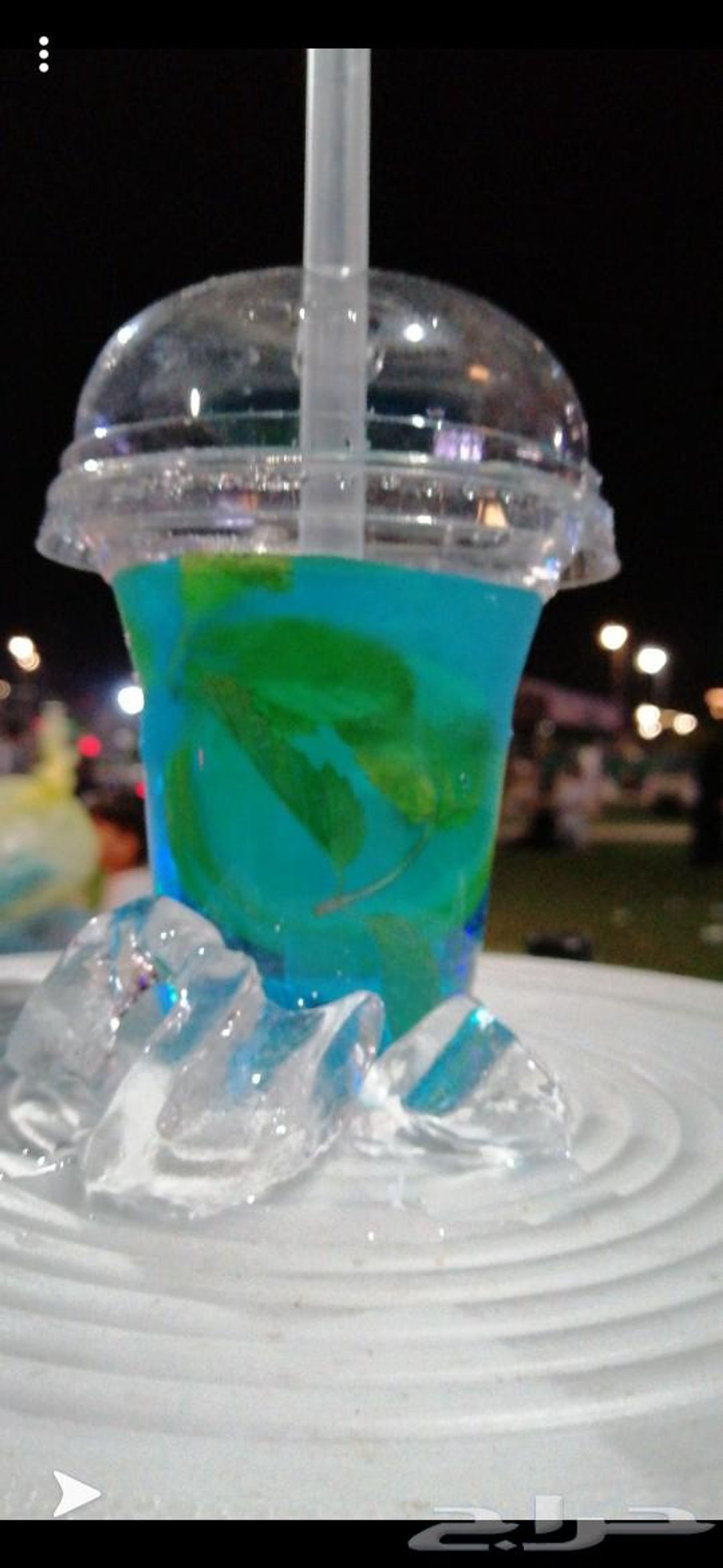 Blueberry Bison