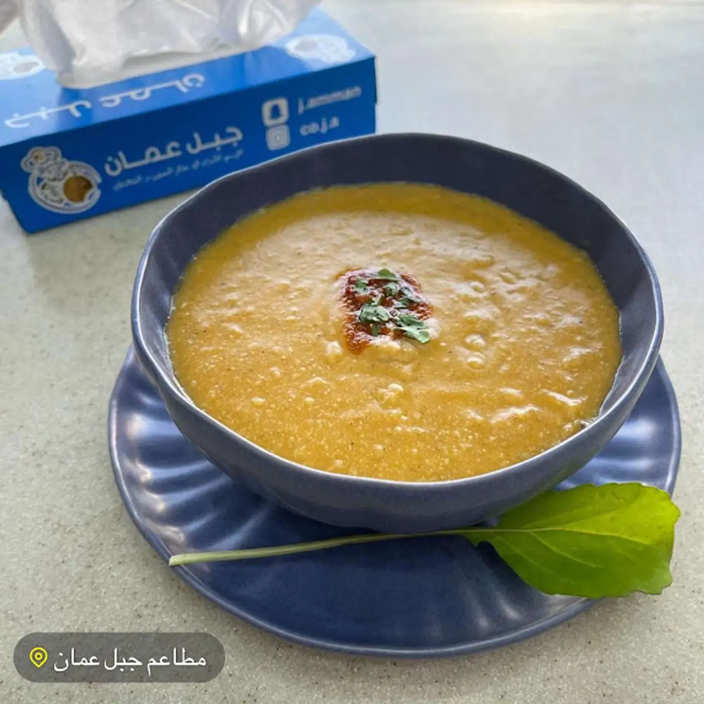 عدس
