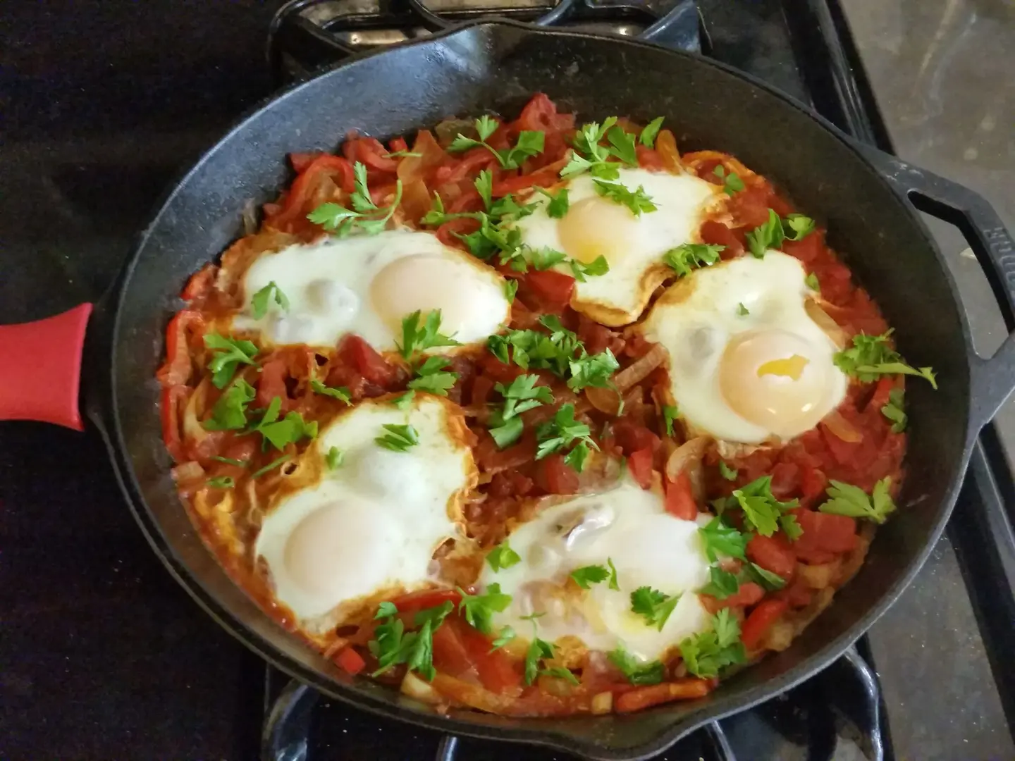 Shakshouka Adani With Cheese