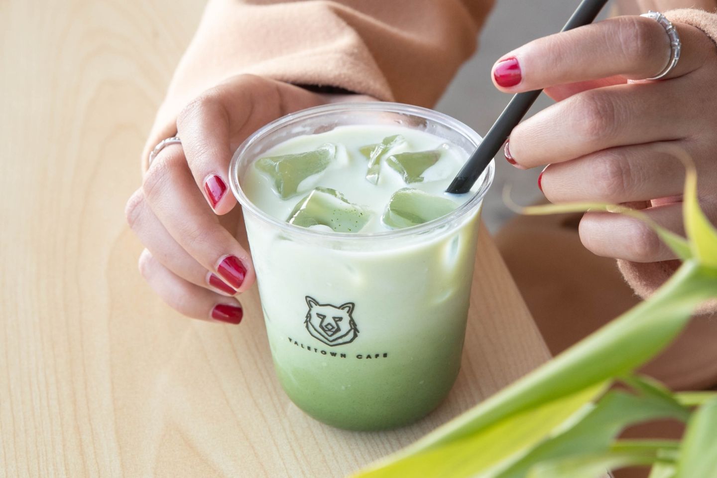 Iced Matcha