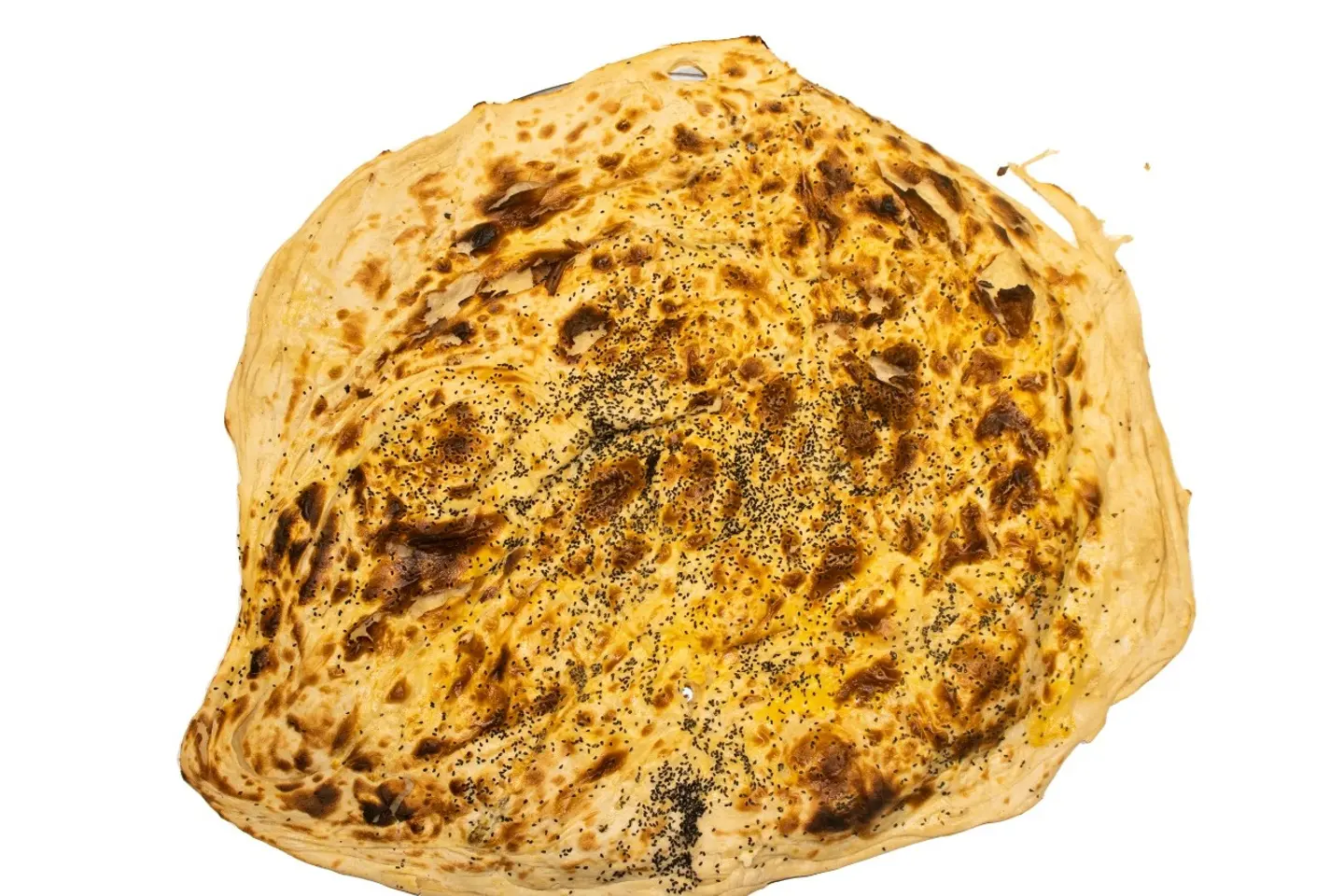 Moloh