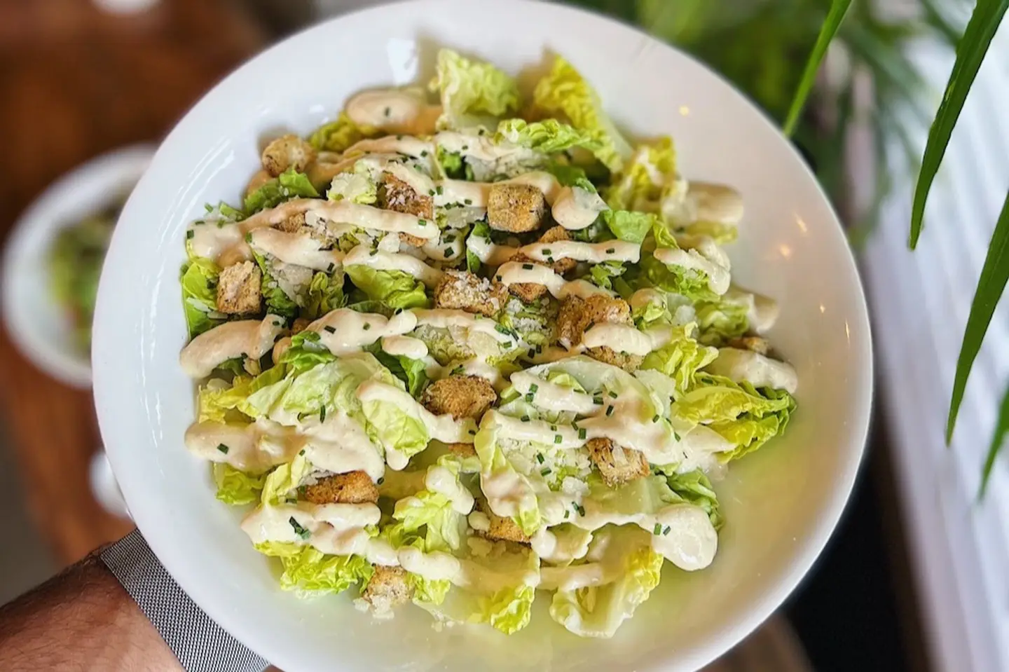 Caesar Salad - No Chicken