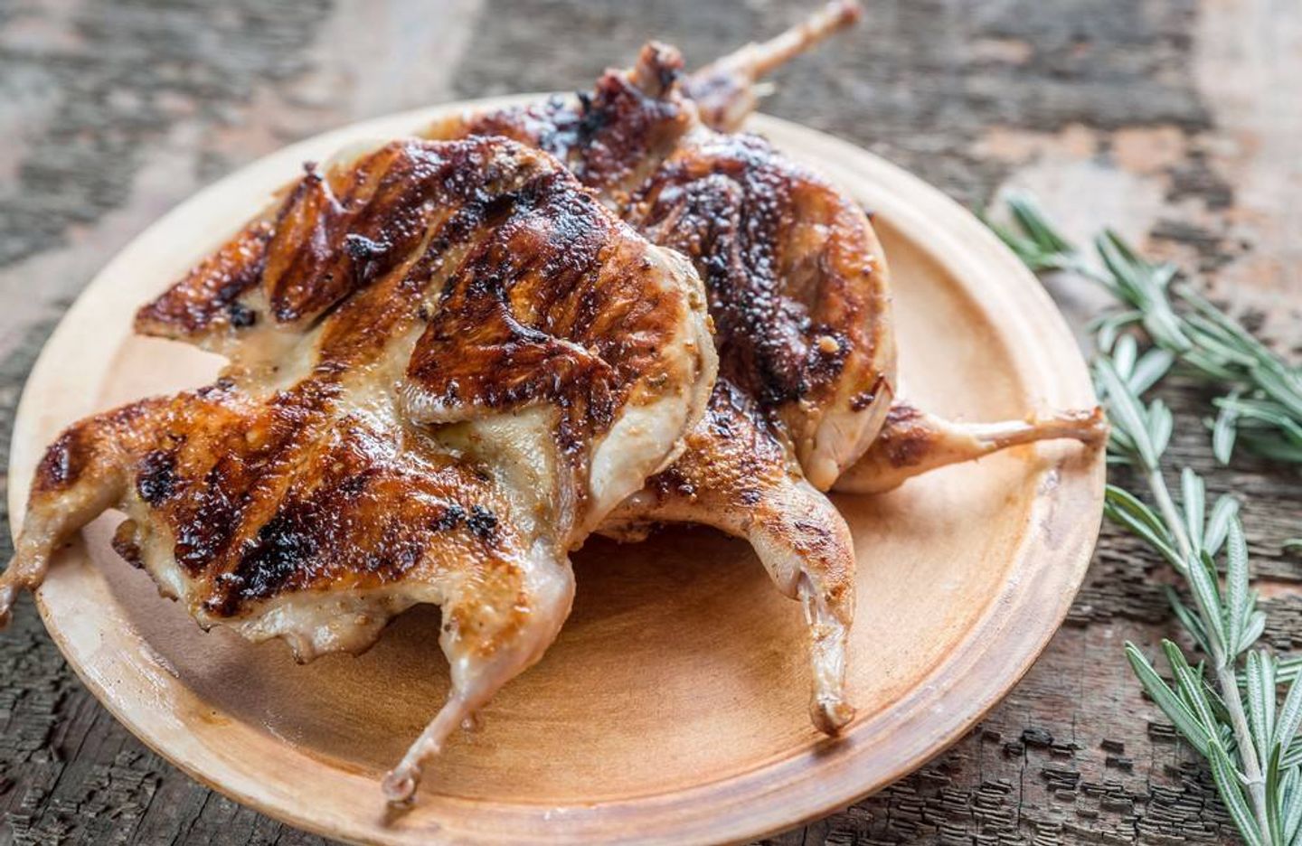 Grilled Quail