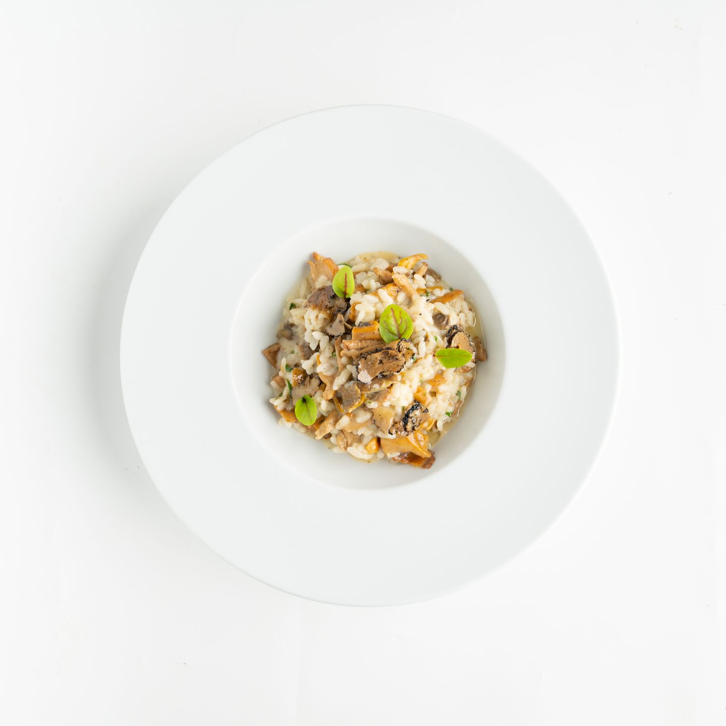 Risotto Funghi E Tartufo (V.)