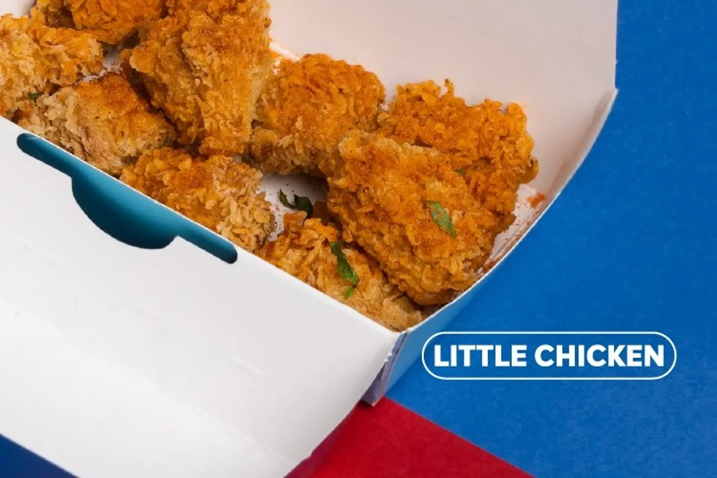 Little Chicken
