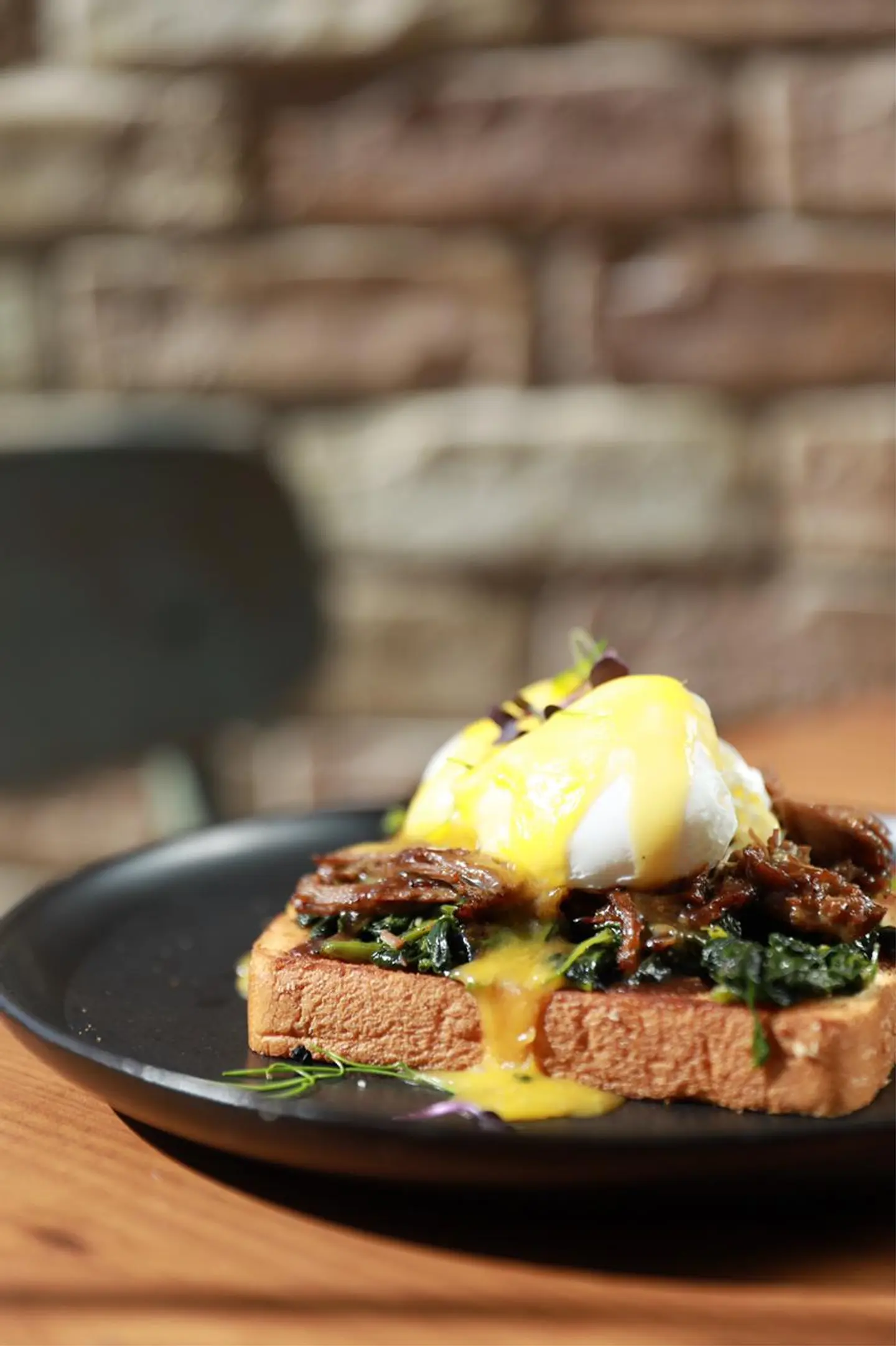 Lamb And Eggs