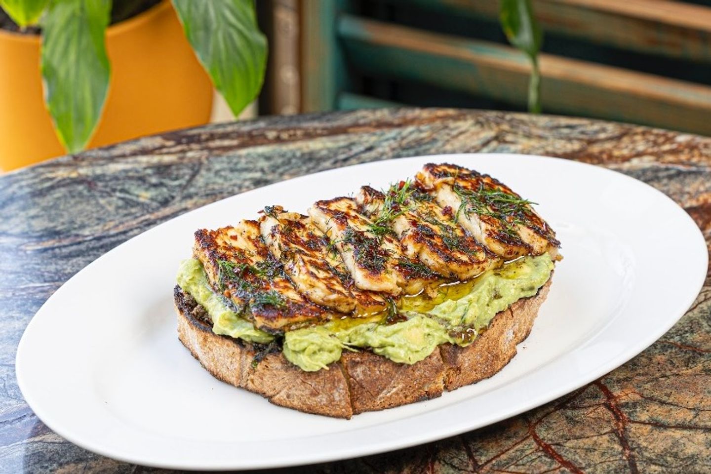 Avocado & Grilled Halloumi